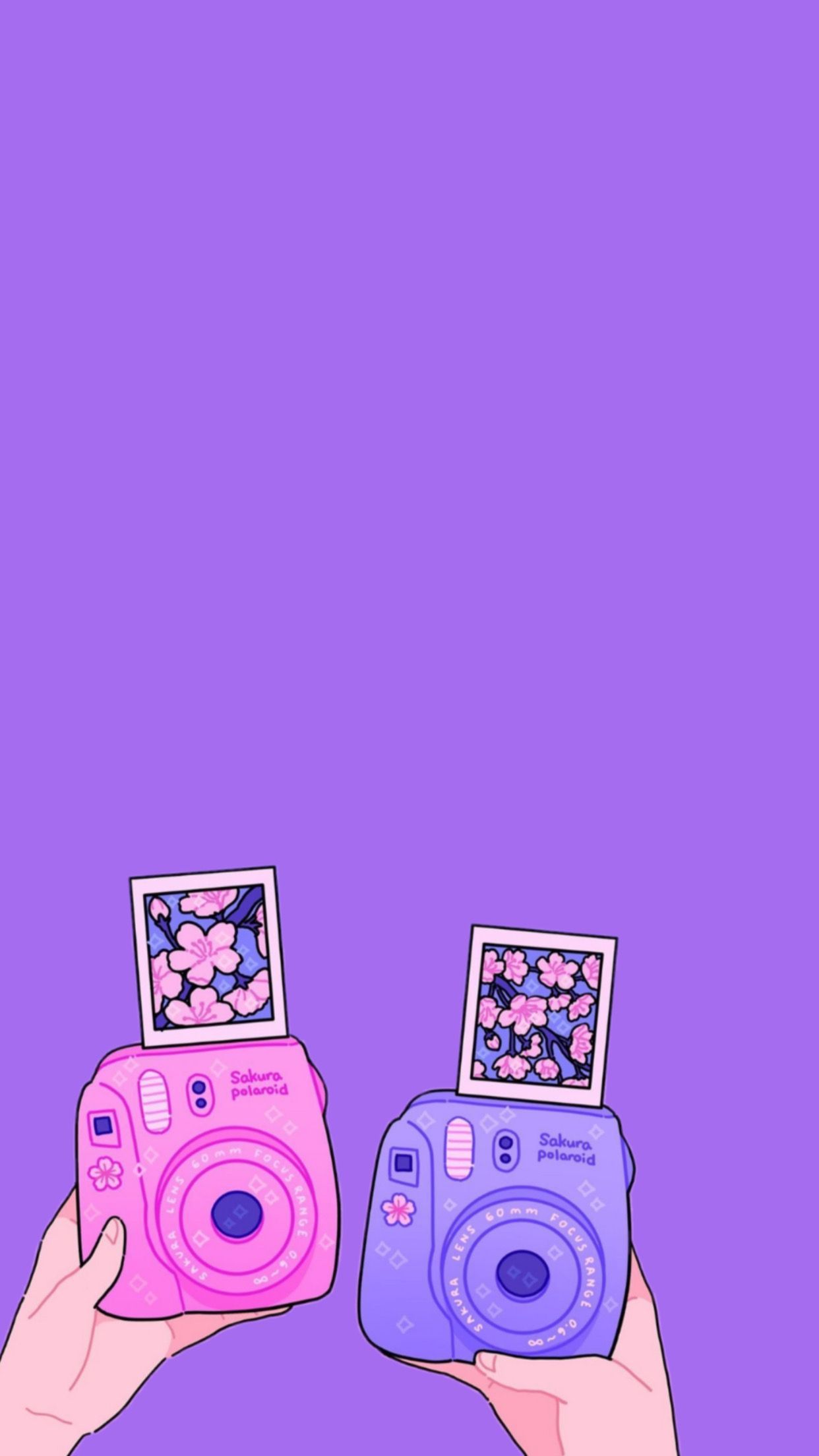Two hands holding up a purple camera and pink one - Pretty, cute