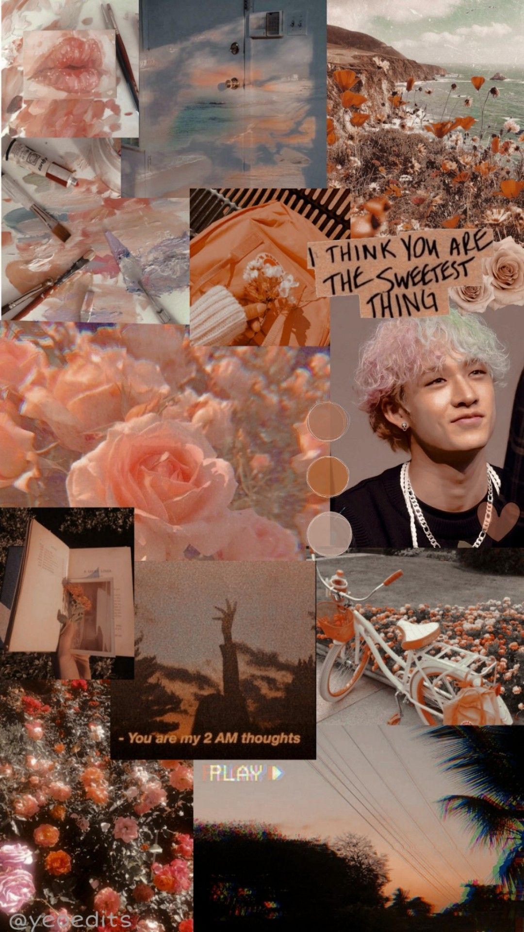 Aesthetic collage of photos of Jimin from BTS, flowers, a bicycle, and a pink and white aesthetic. - Bang Chan