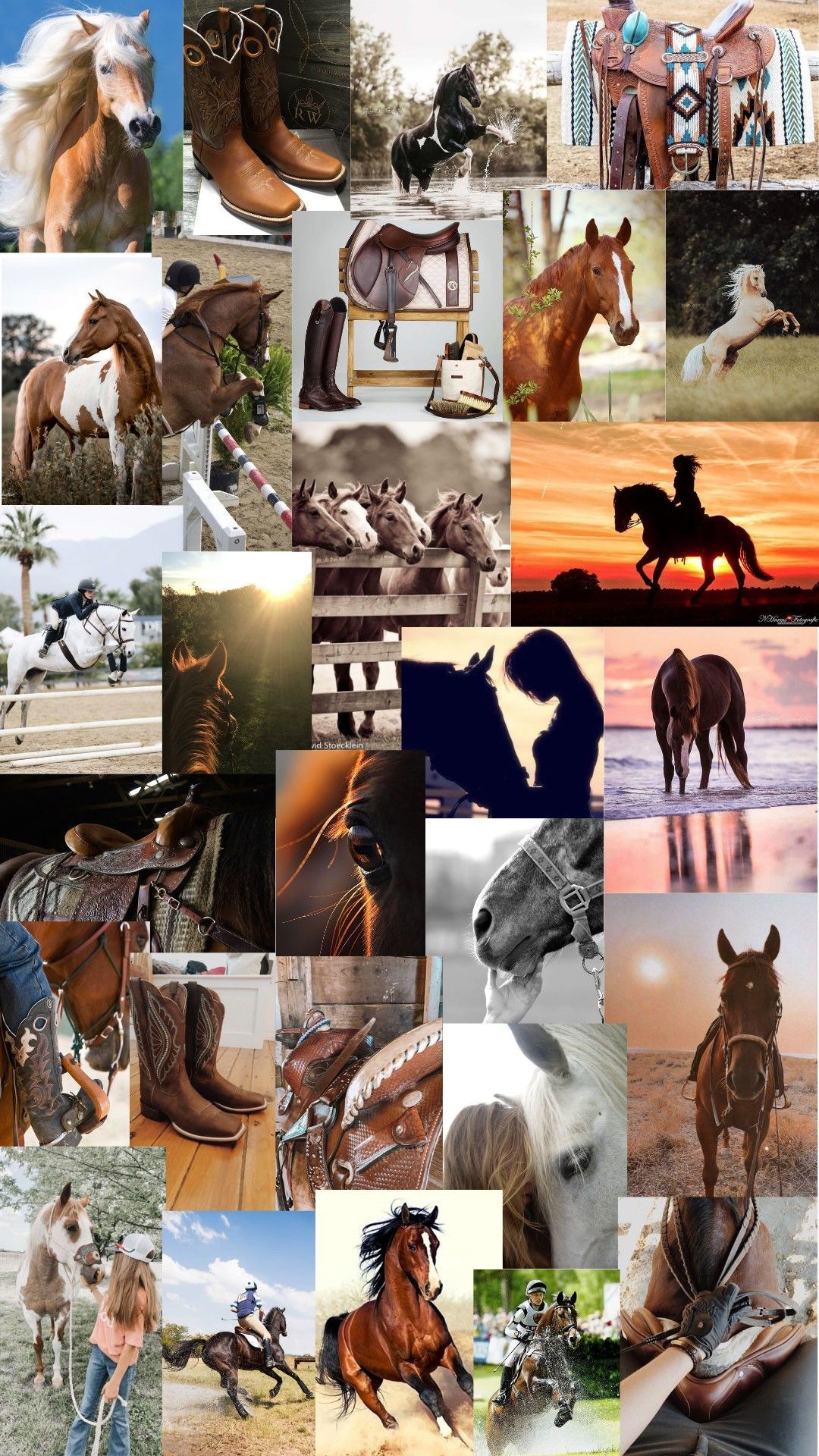 Horses!. Horse wallpaper, Cute horse picture, Horse background