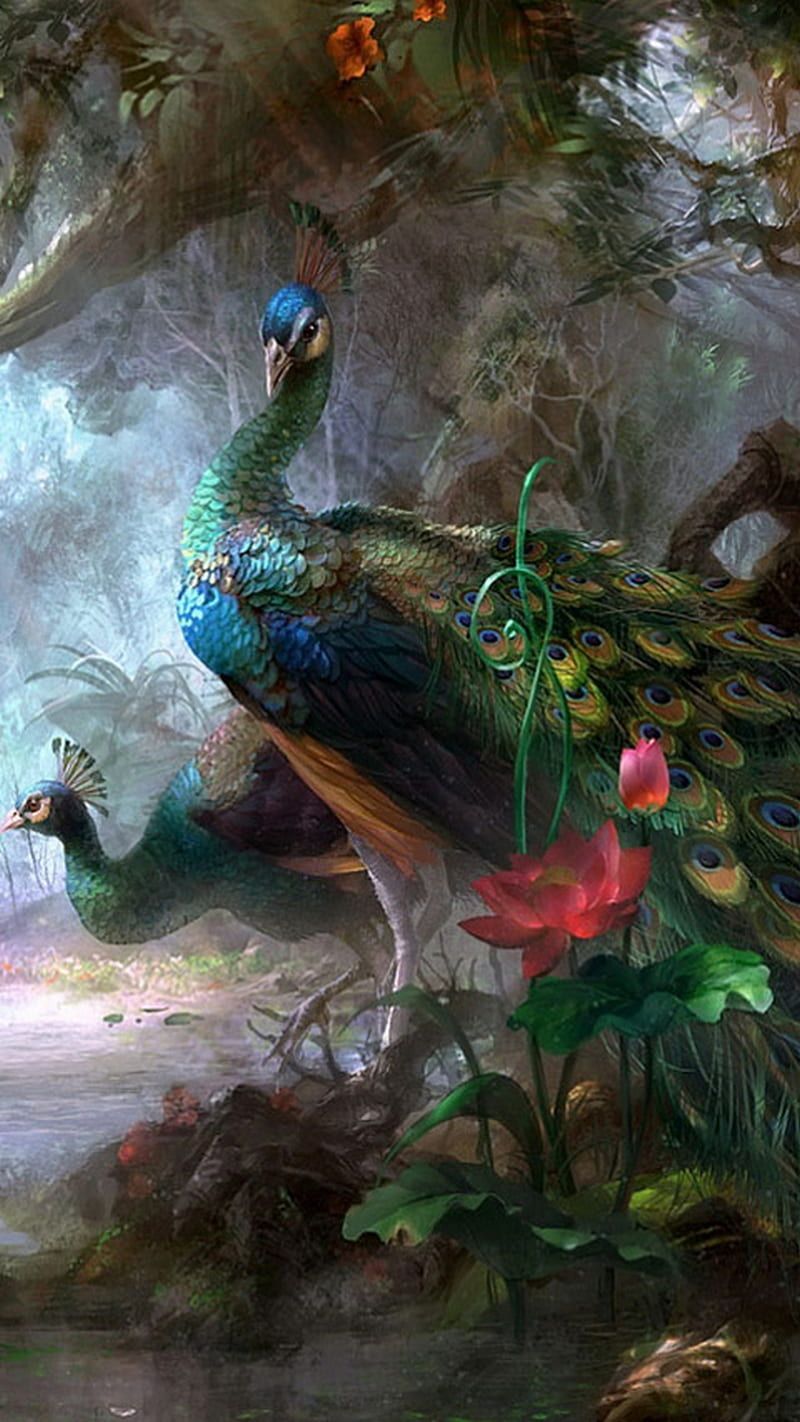 A pair of peacocks in a forest. - Peacock