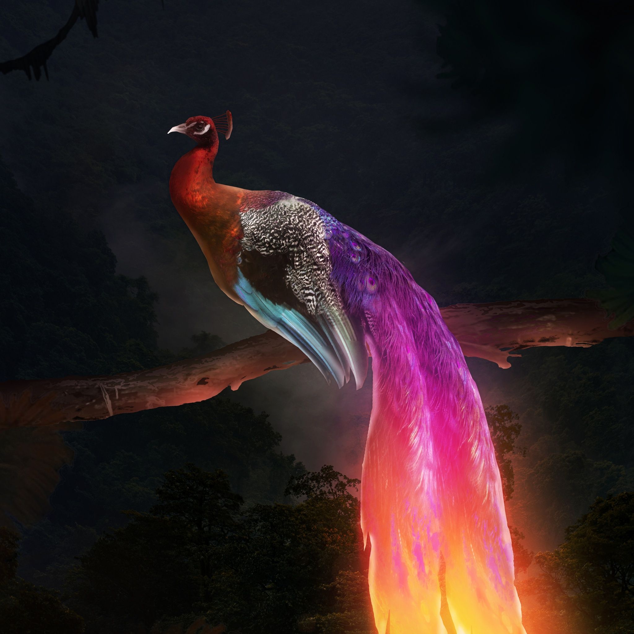 Peacock Wallpaper 4K, Mythical, Fantasy, Digital Art