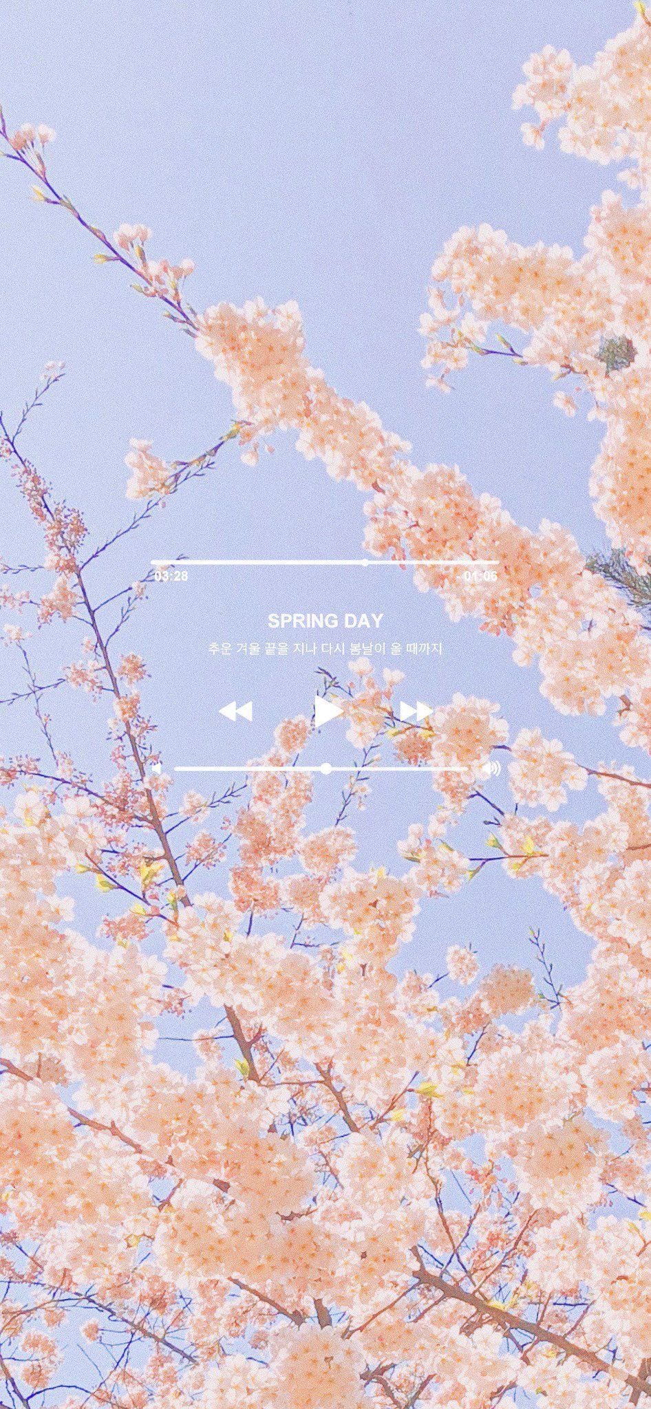 A spring day wallpaper with a blue sky and pink flowers - Spring