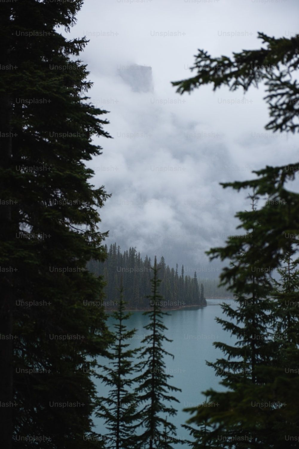 Emerald Lake Picture. Download Free Image