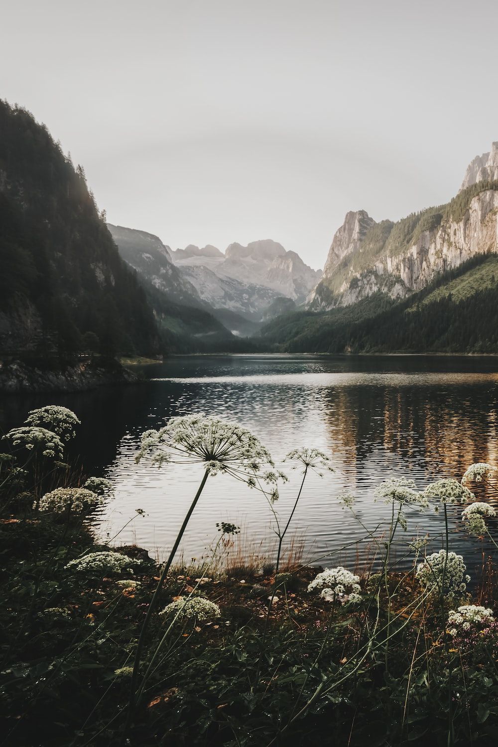 A lake surrounded by mountains with a flower in the foreground. - Lake