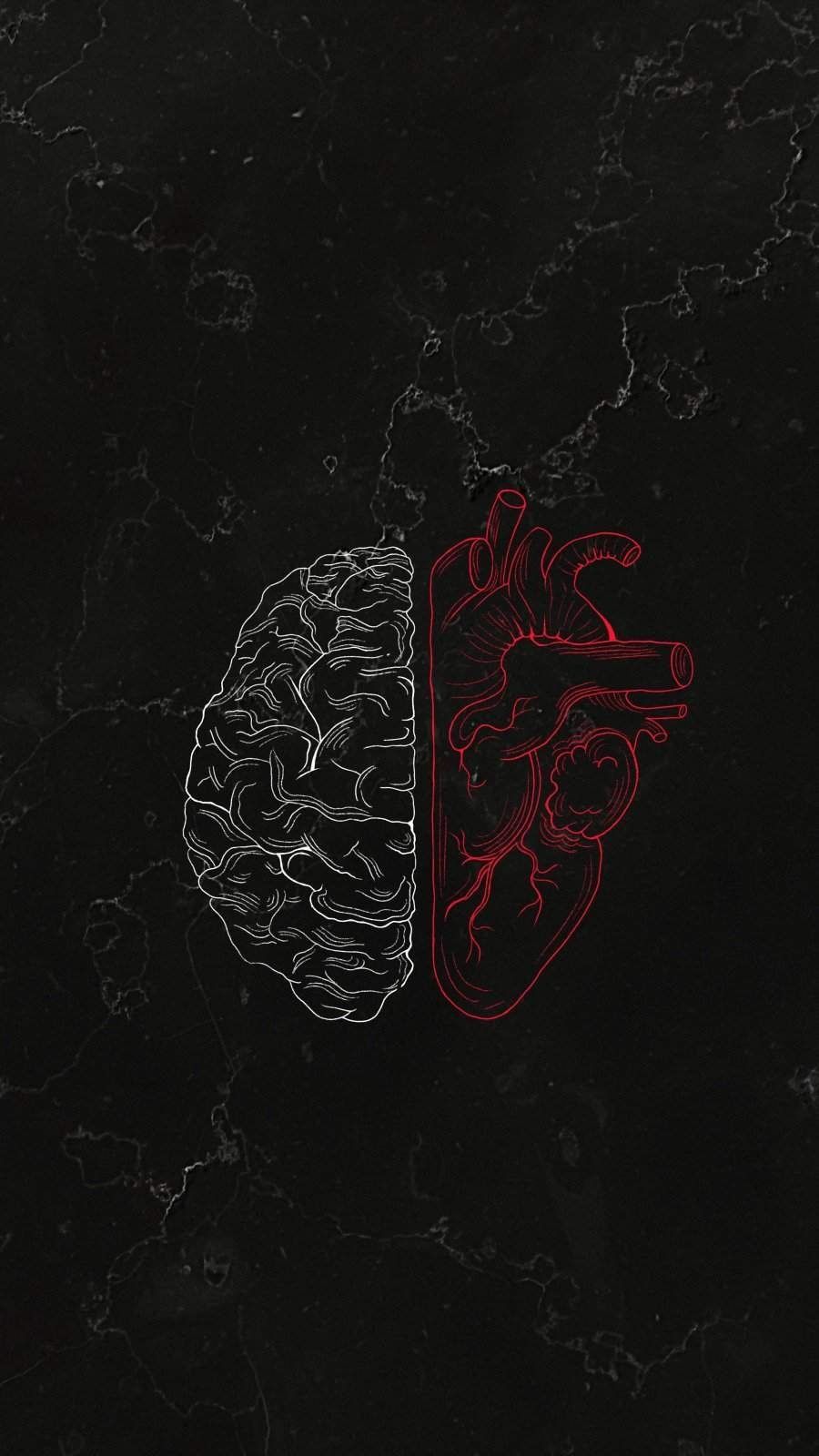 IPhone wallpaper of a brain and heart - Anatomy