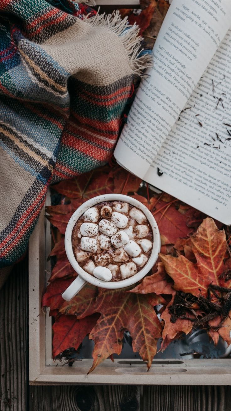 A cup of hot chocolate surrounded by leaves and an open book. - Marshmallows