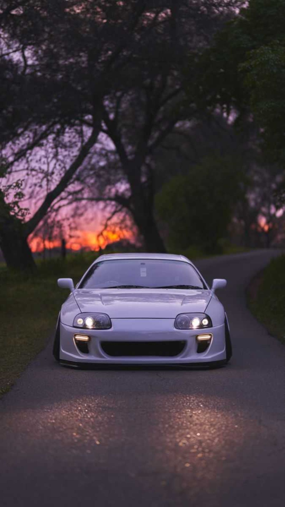 A white Supra on a tree lined road at sunset - JDM