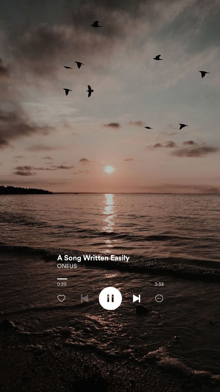 Birds flying over the ocean at sunset with a music player in the bottom right corner - Music