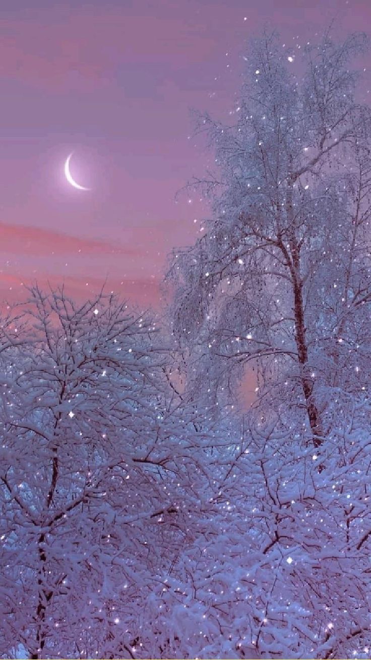 Aesthetic phone wallpaper of a snowy night with a crescent moon. - Android