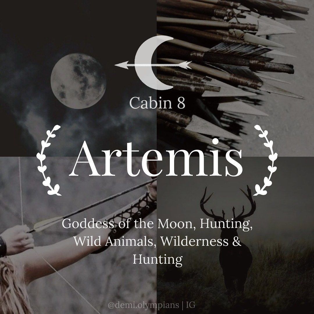 Cabin 8 Artemis, goddess of the moon, hunting, wild animals, wilderness, and hunting. - Artemis