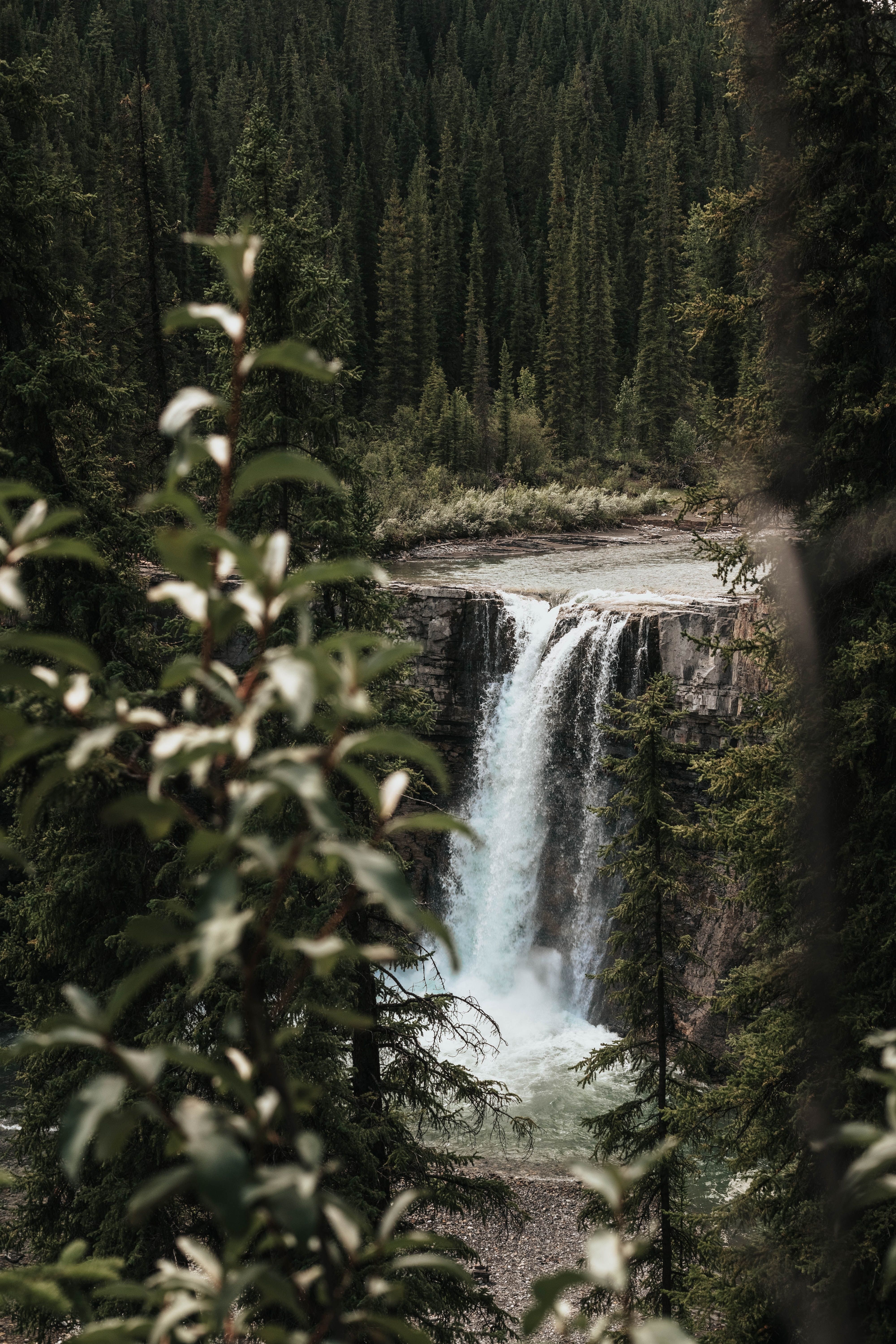 Mobile wallpaper: Waterfall, Precipice, Trees, Break, Nature, Branches, Flow, 131730 download the picture for free