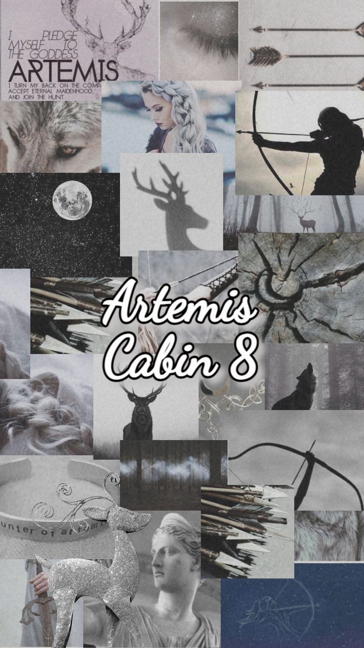 Collage of images related to Artemis and her cabin. - Artemis