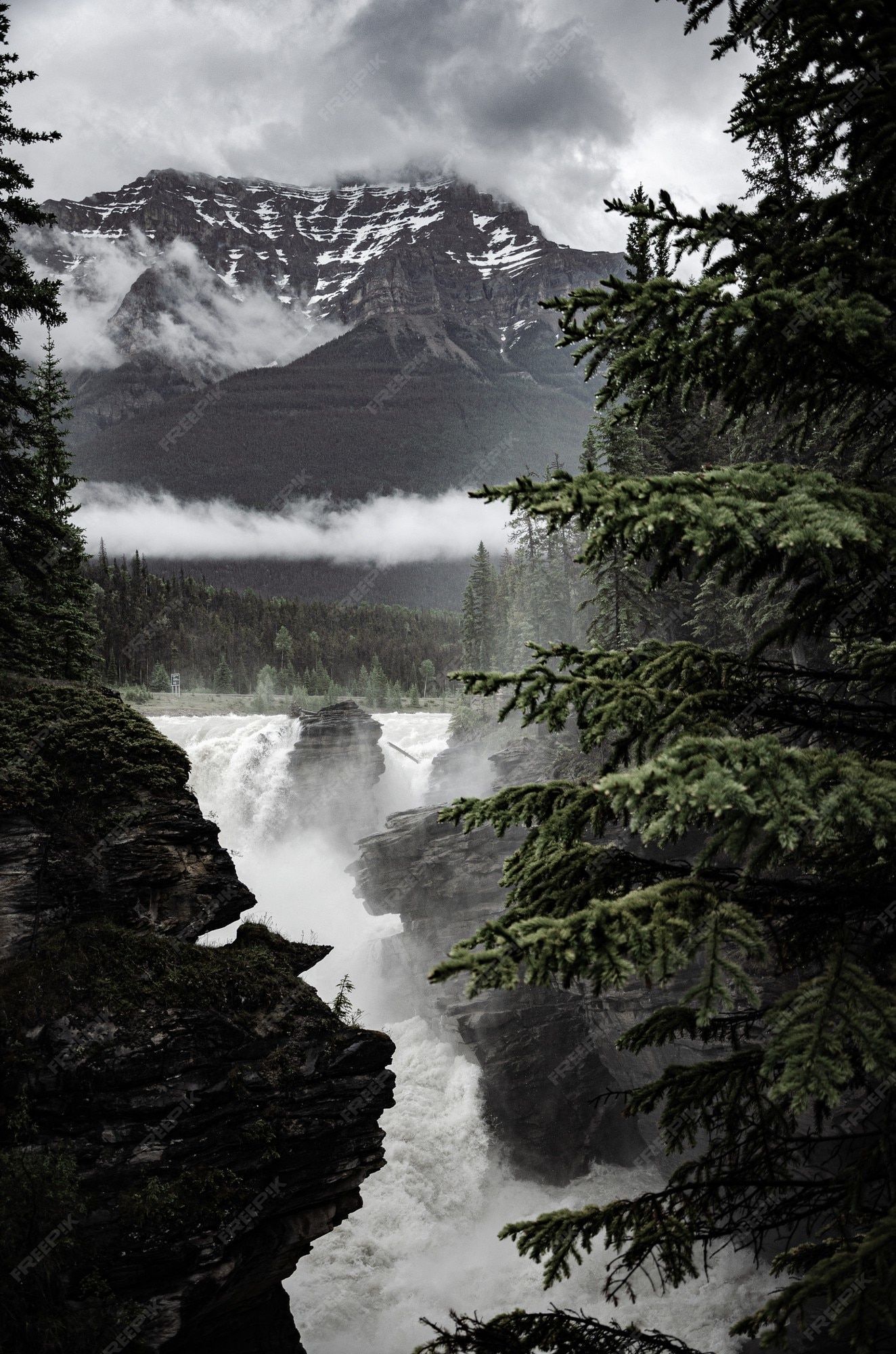 Free Photo. Beautiful scenery of a powerful waterfall surrounded by rocky cliffs and trees in canada
