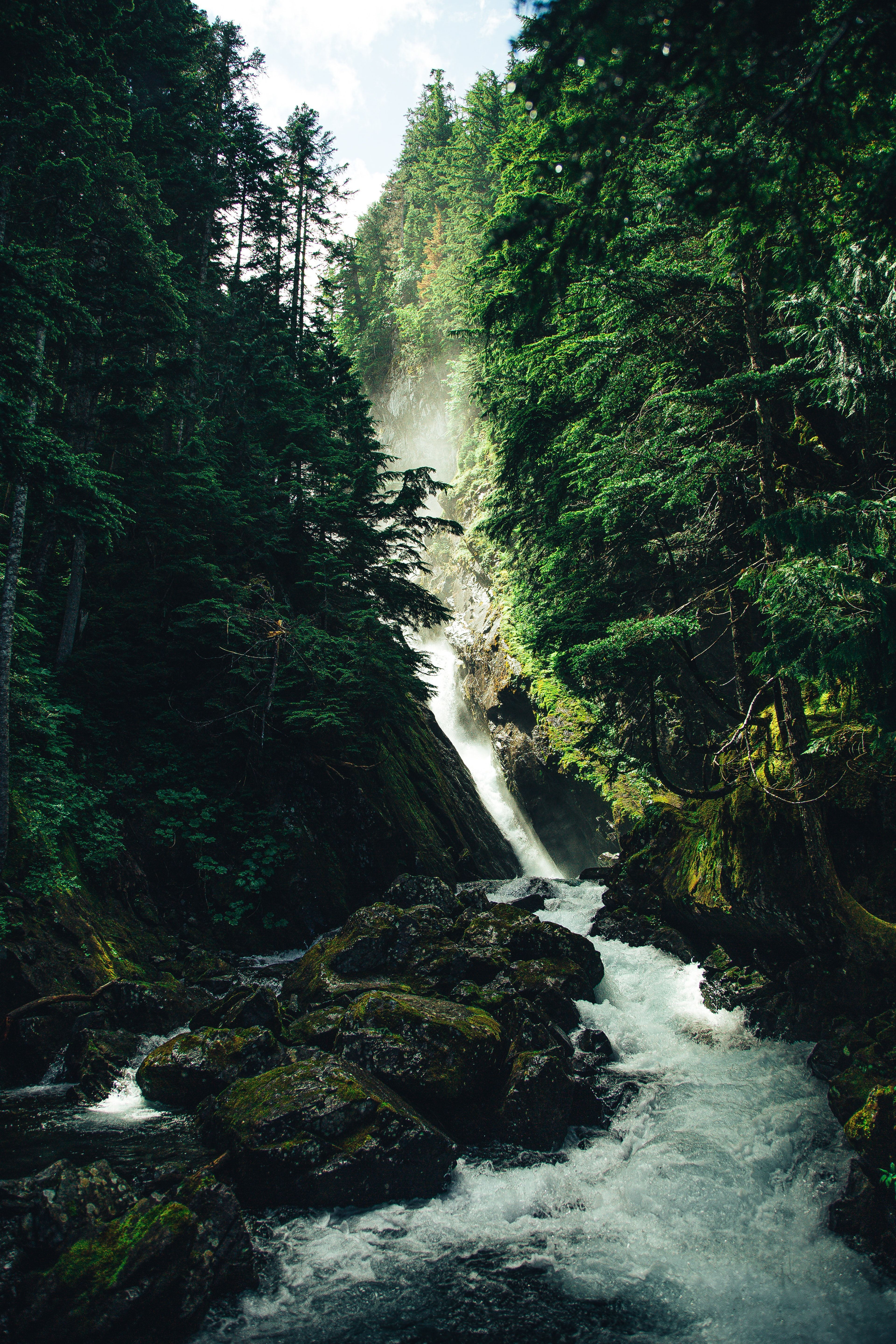 Mobile wallpaper: Trees, Stones, Waterfall, Forest, Nature, 112422 download the picture for free