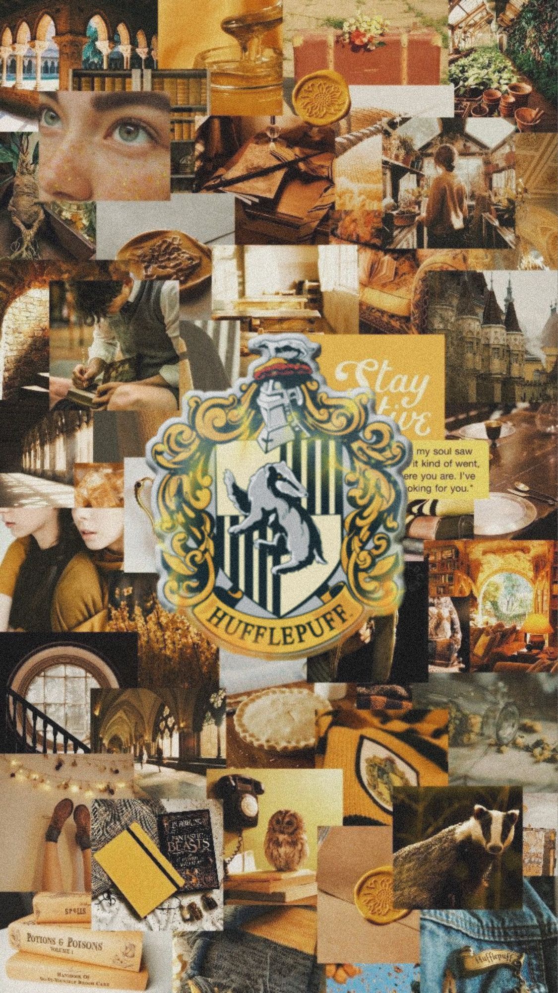 Harry Potter Hufflepuff wallpaper - Hufflepuff