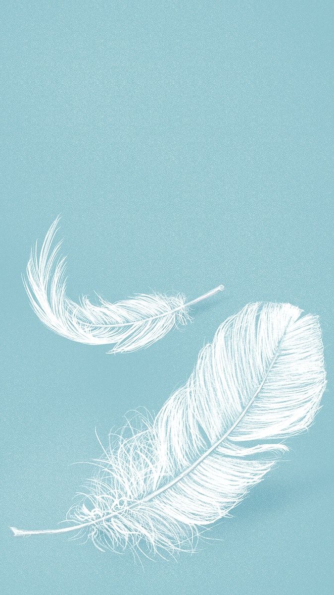 A blue image with two white feathers floating on top. - Feathers