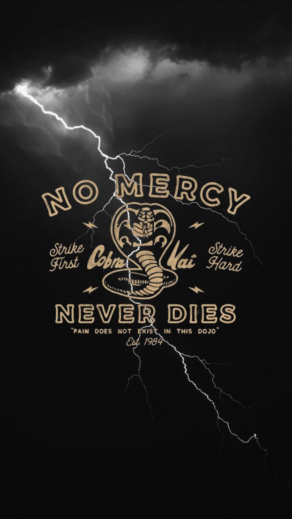 No Mercy, Strike First, Never Dies. - Cobra Kai