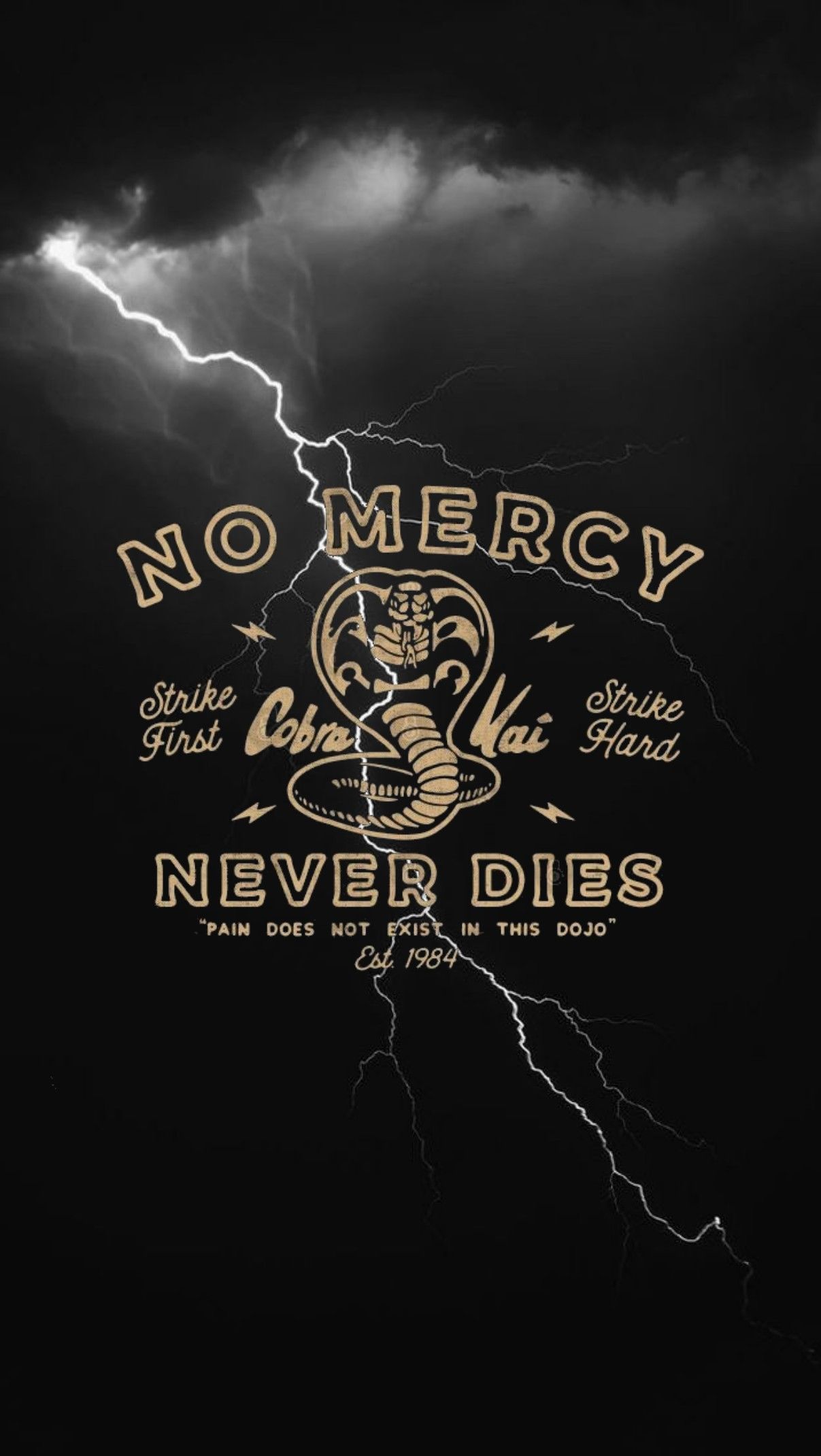 Cobra Kai By Qbangix