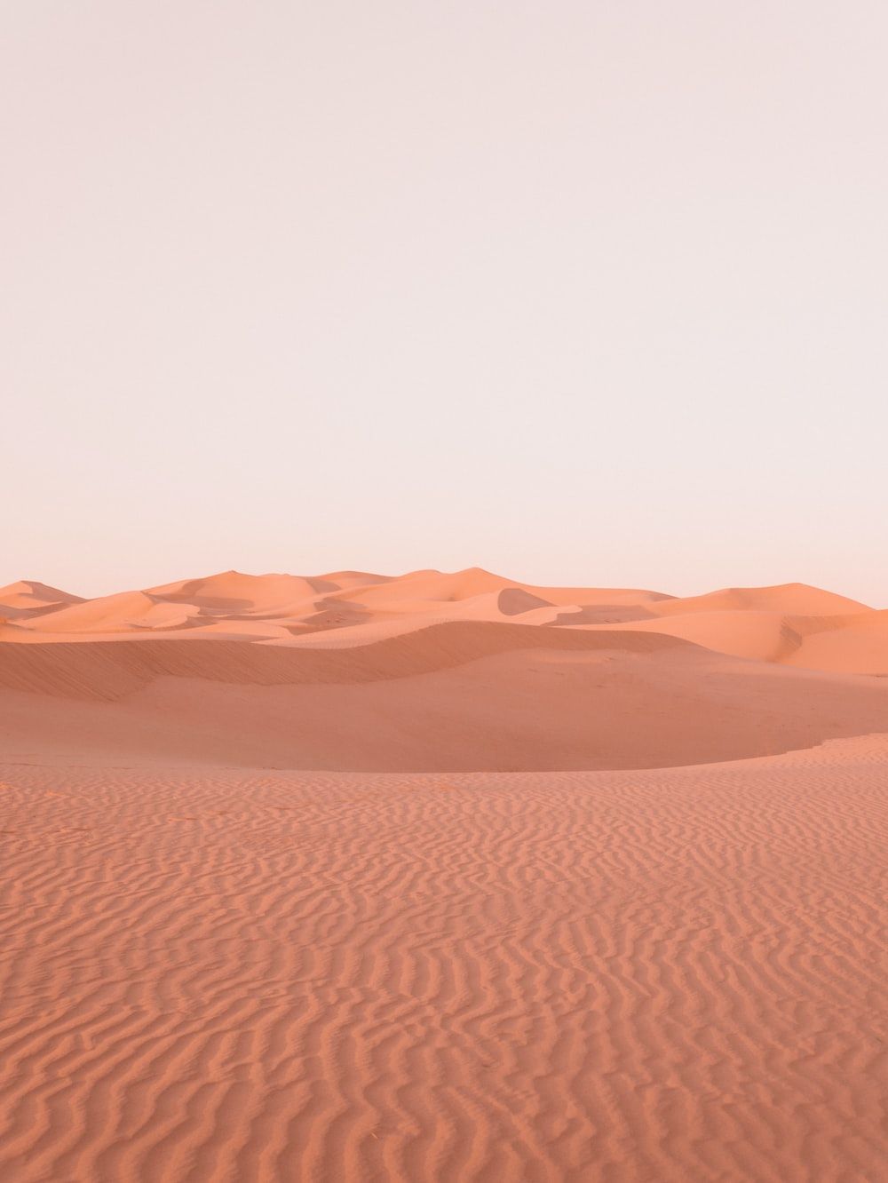 Pink Desert Picture. Download Free Image