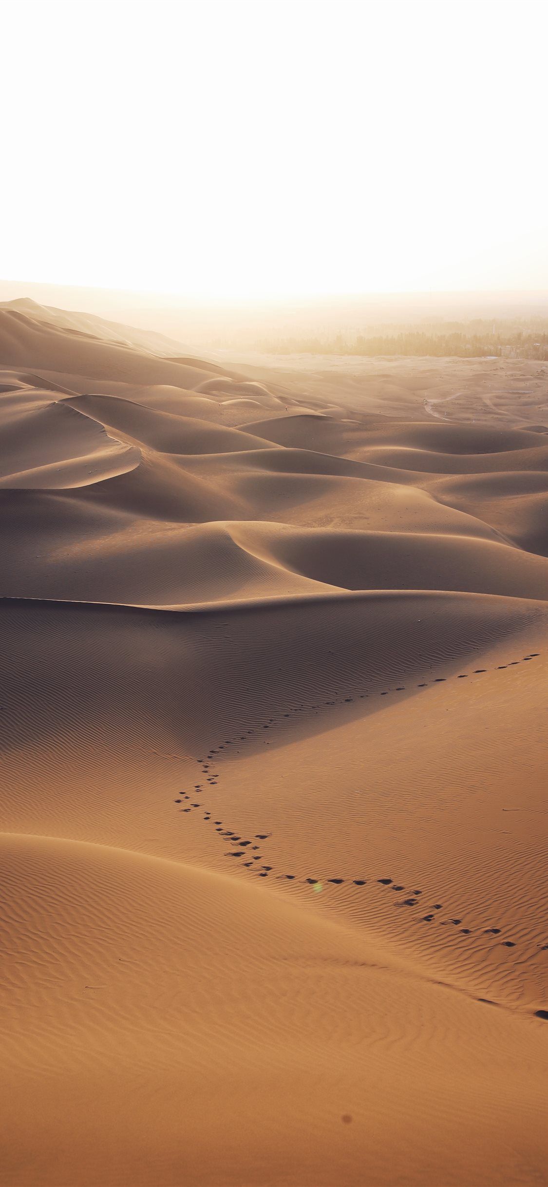 Aerial photo of brown desert - Desert