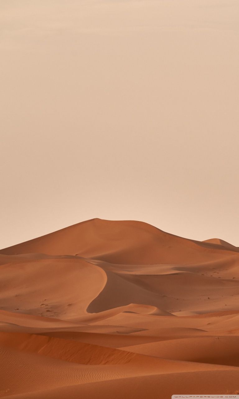 A desert with sand dunes in the middle of the desert - Desert