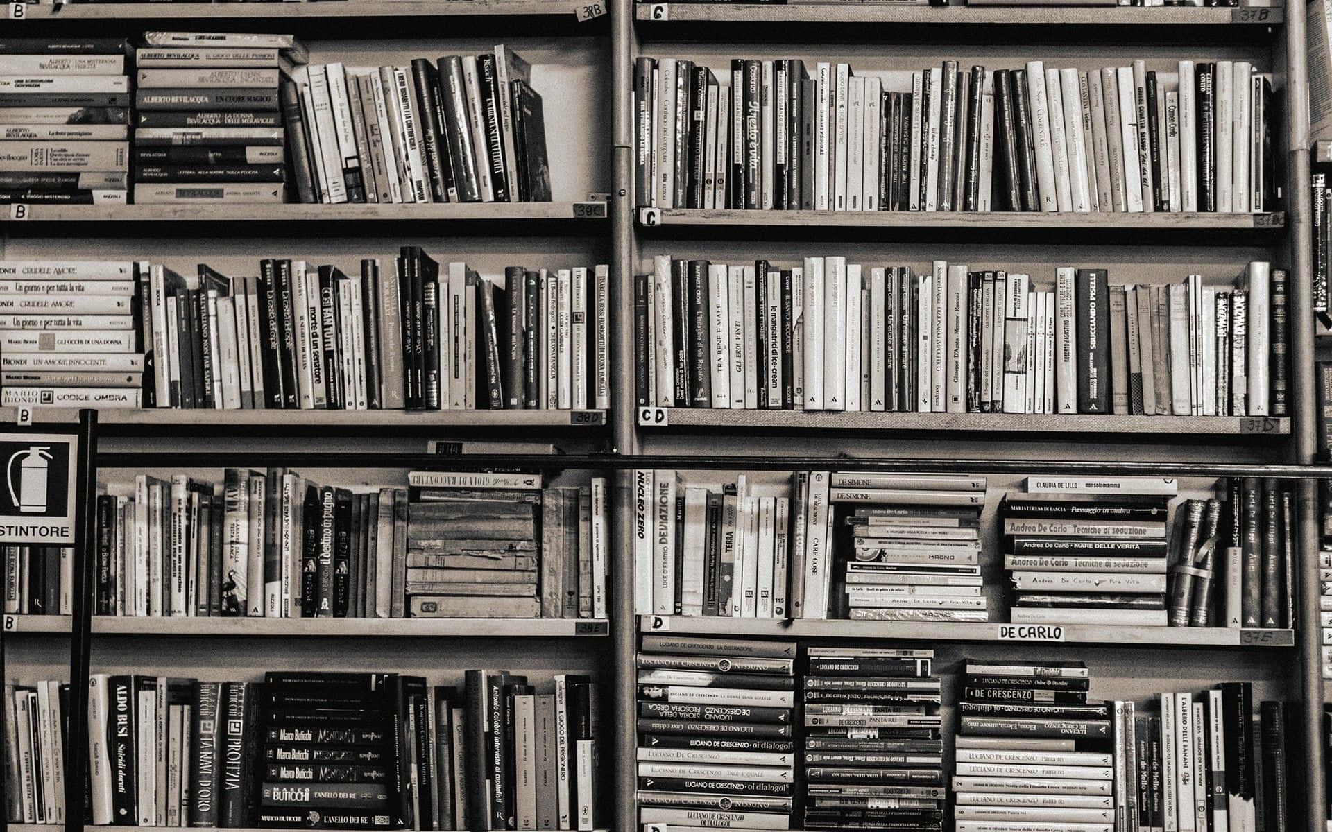 A black and white photo of a bookshelf with books on it. - Bookshelf