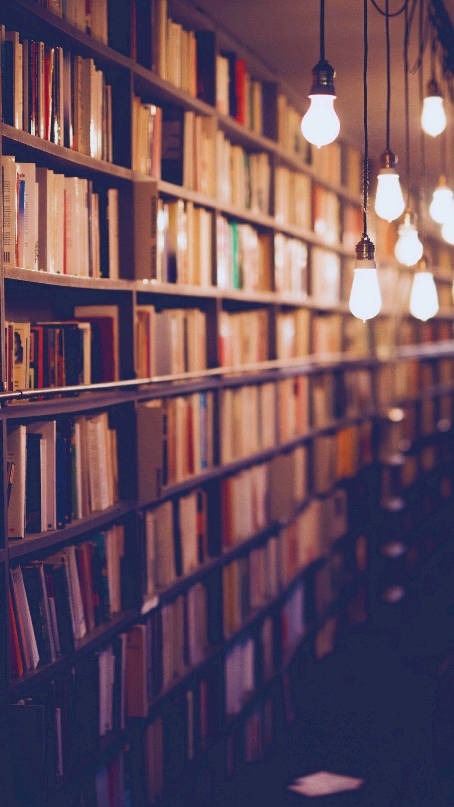 A long row of bookshelves with many books and light bulbs hanging from the ceiling. - Bookshelf