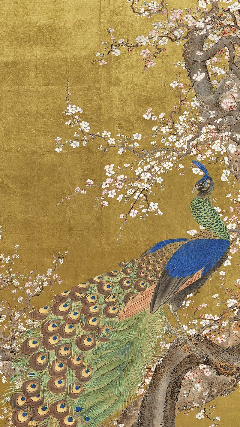 A pair of peacocks in a cherry blossom tree - Peacock