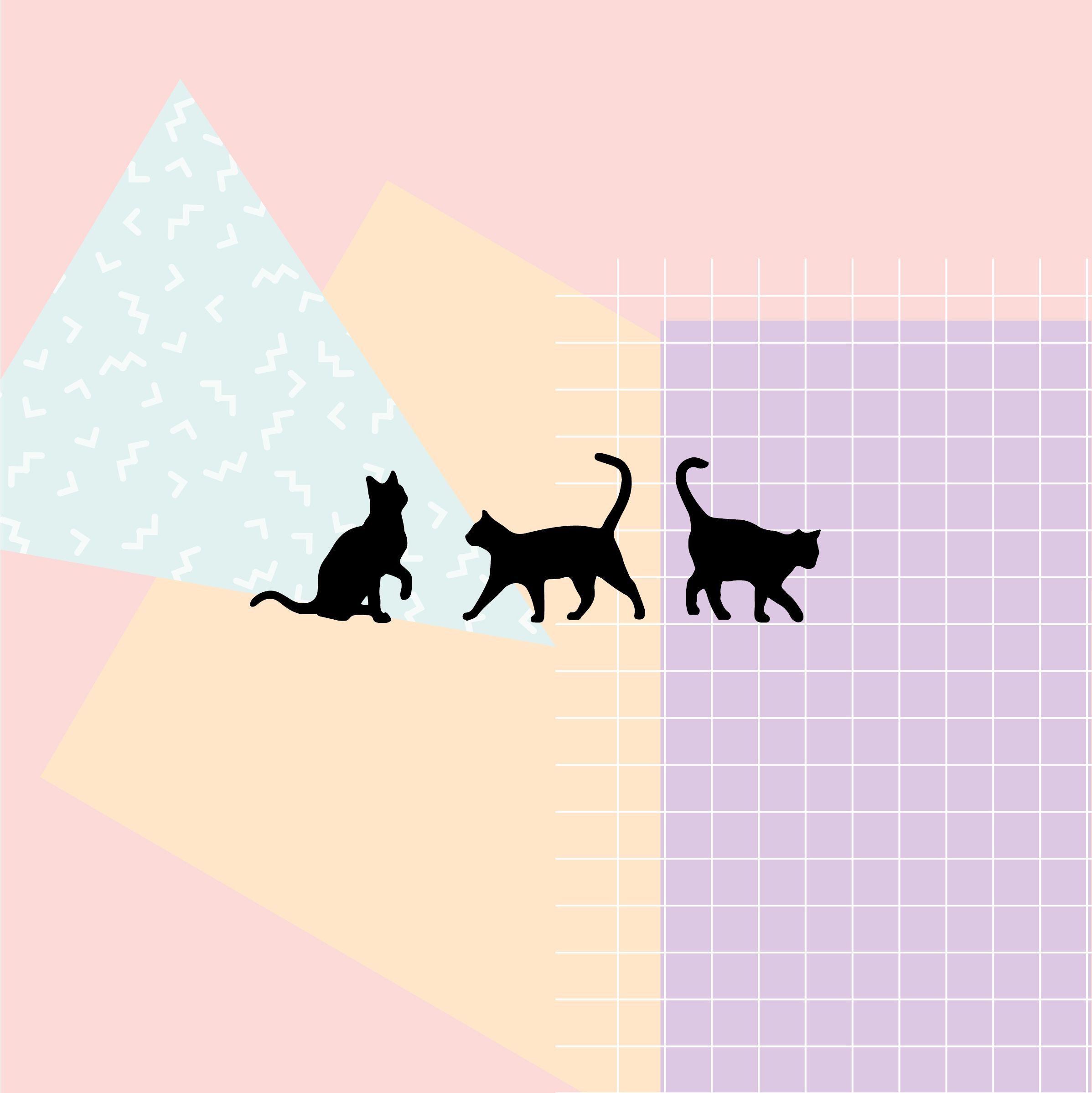 Three cats on a colorful background - Cat