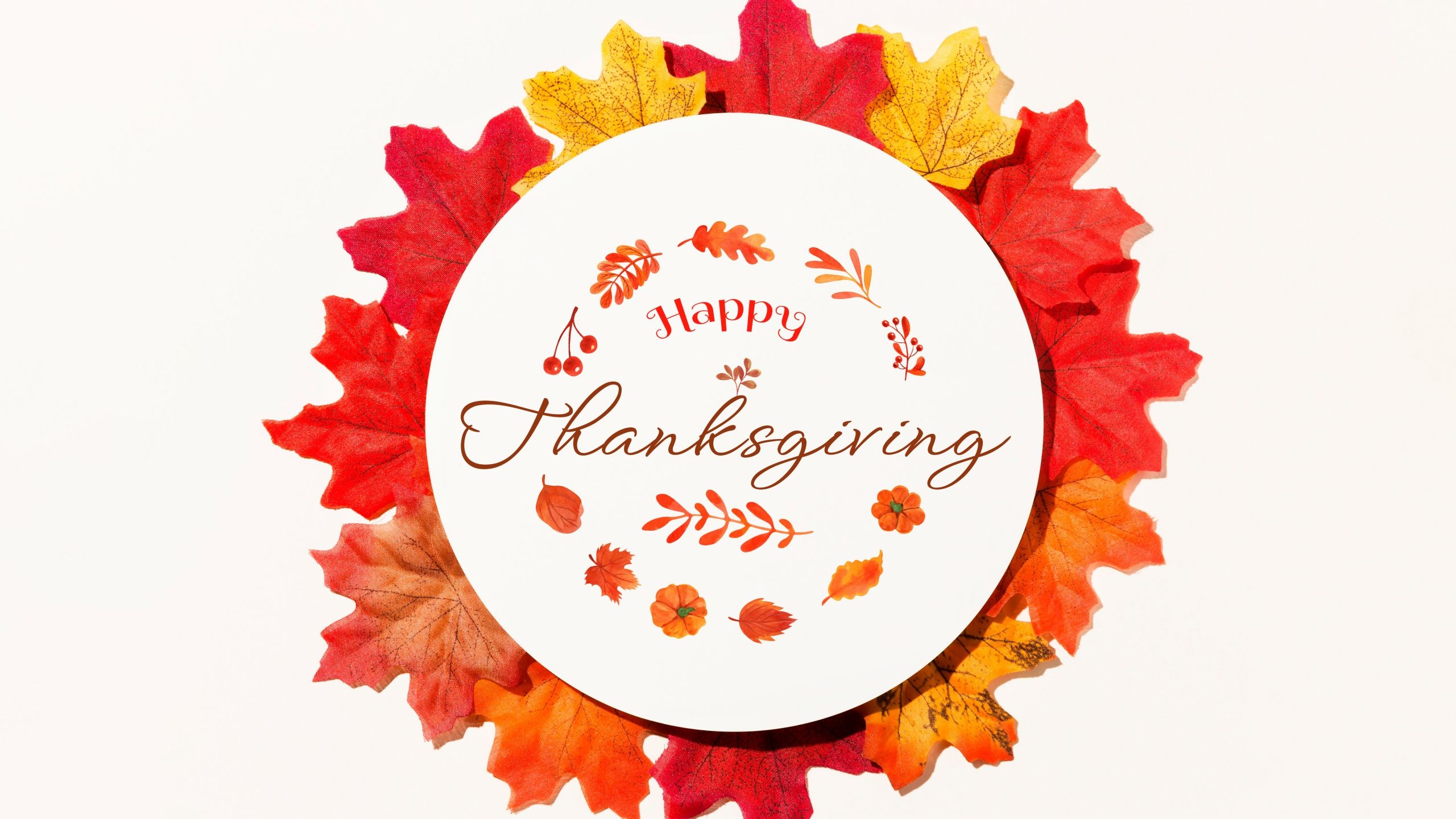 Happy Thanksgiving Wallpaper 4K, Fall, Thanksgiving Day