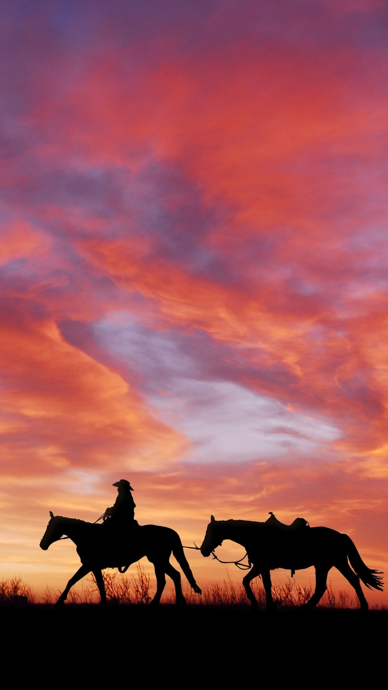 Cowboy Wallpaper 4K, Horses, Silhouette, Dawn, Sunset