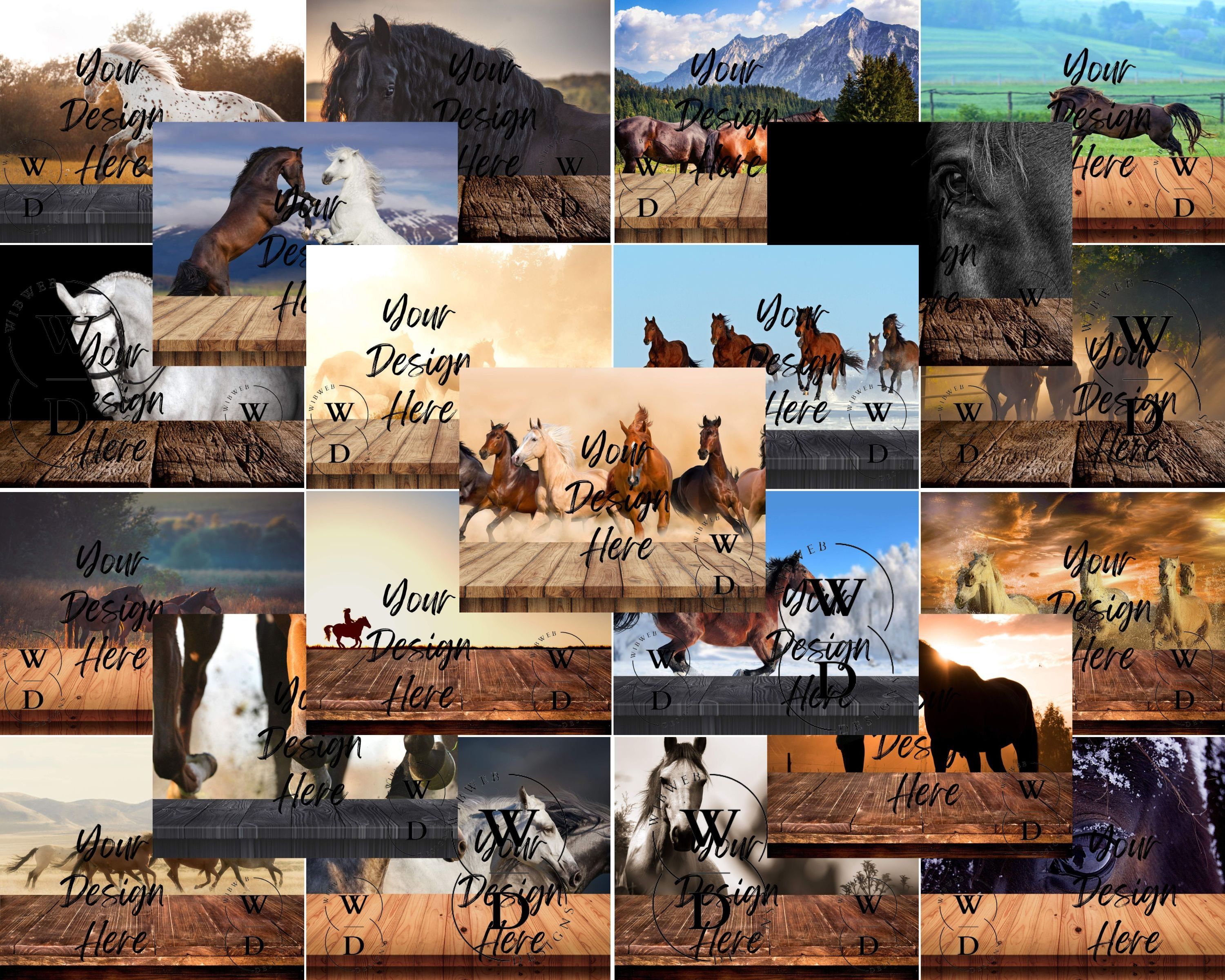 Horse and Typography Mockups, 16 different scenes, 16 PNG files, 3000x3000, instant download - Horse