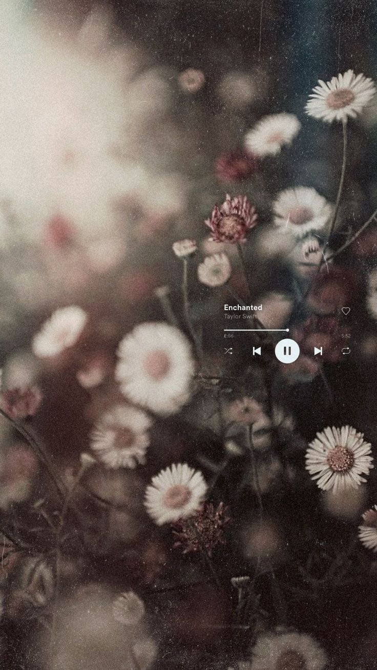 Aesthetic phone background with flowers and a play button. - Taylor Swift