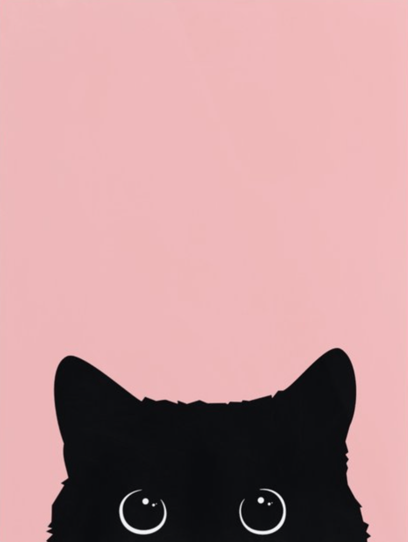A black cat with big eyes on pink background - Cat