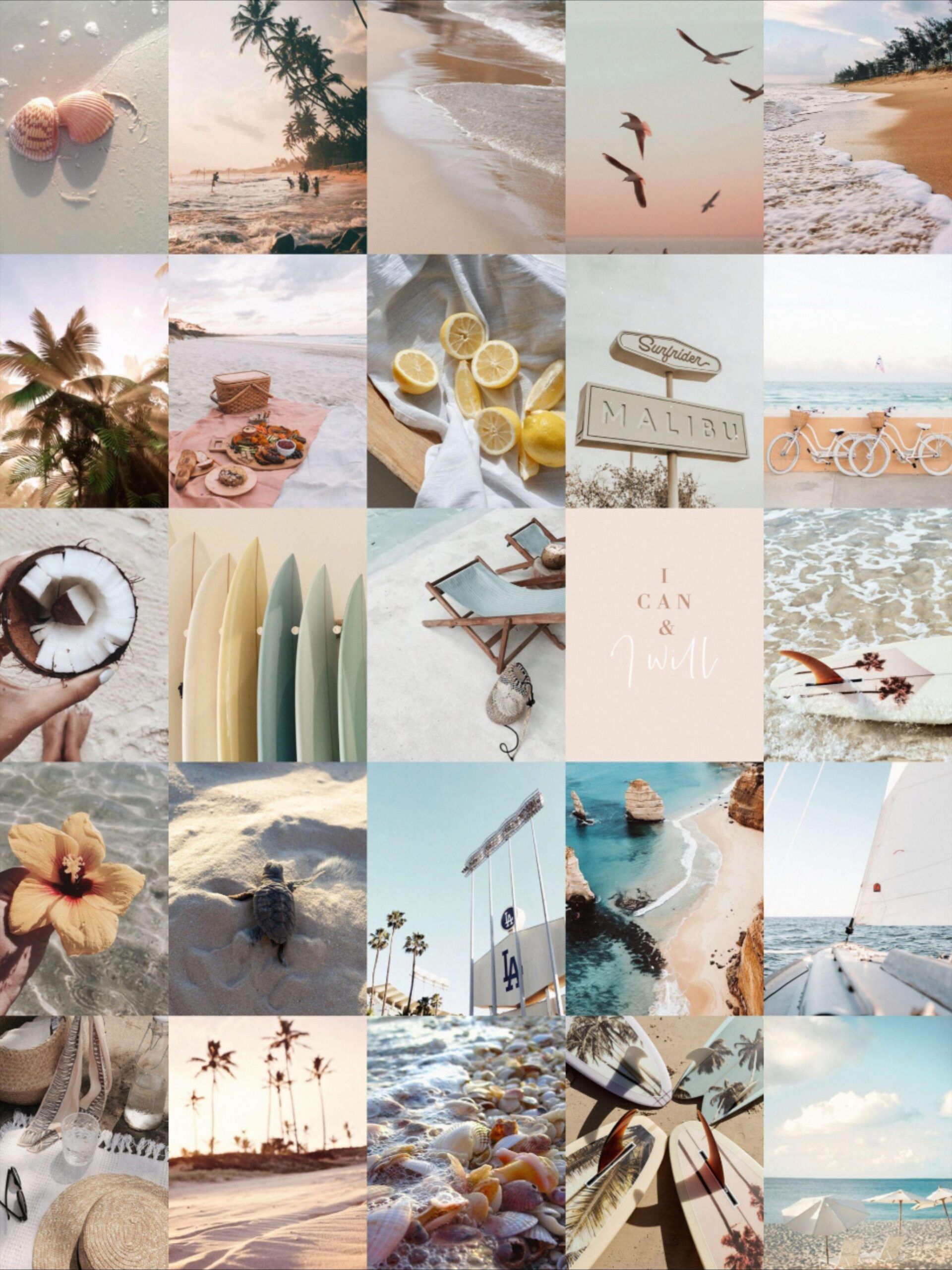A collage of photos of the beach, surfboards, and seashells. - Collage