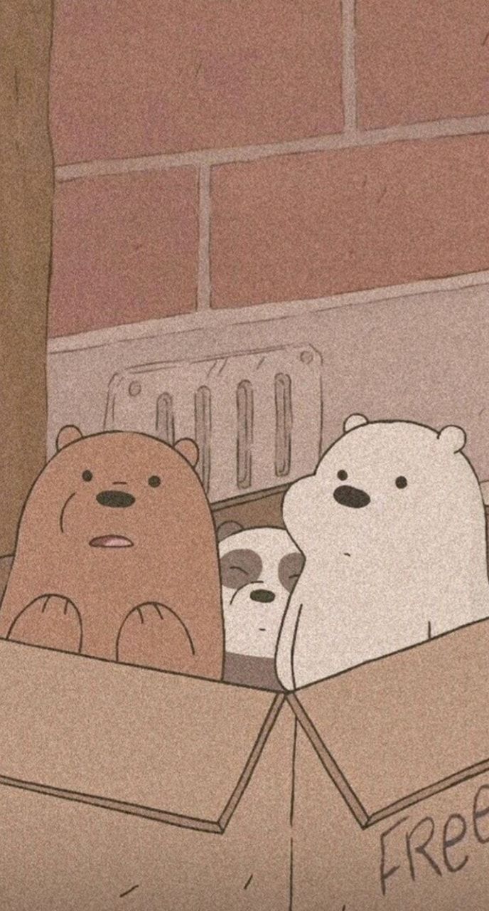 We bare bears in a box - We Bare Bears