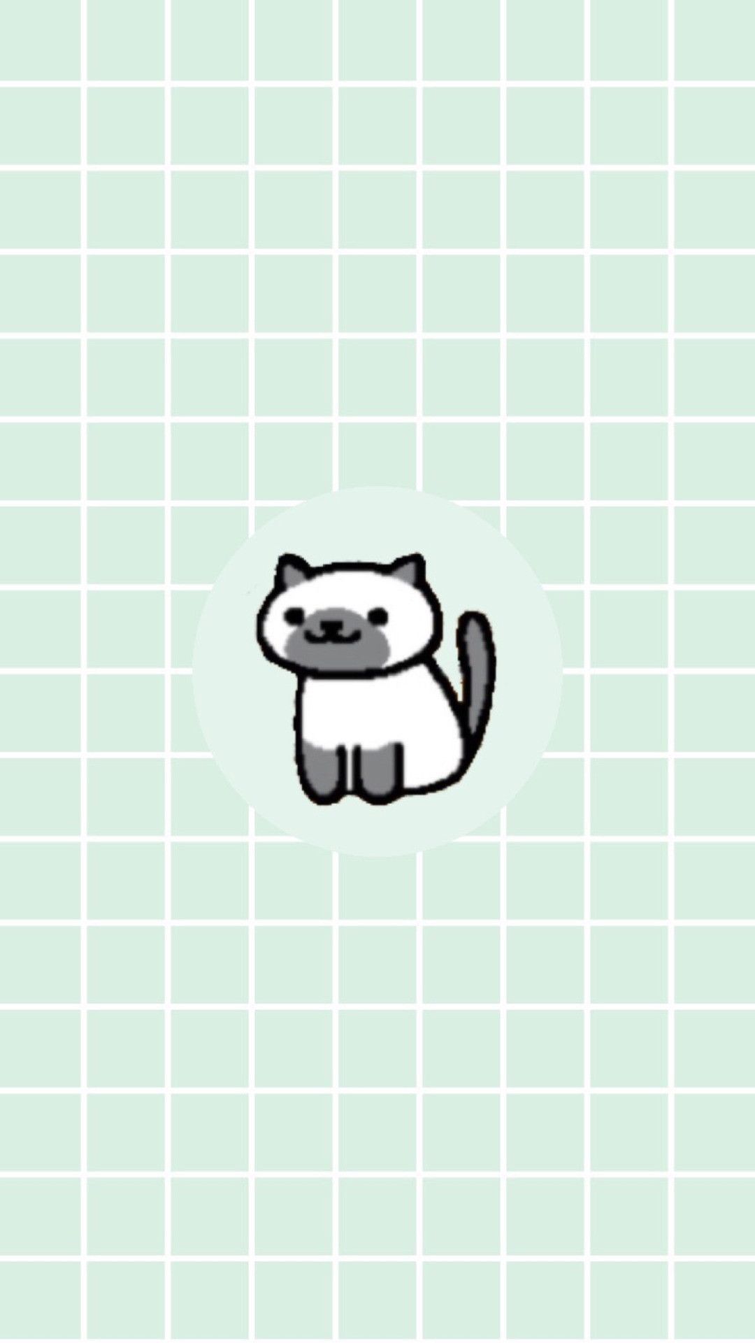 A cat on a grid background - Cat
