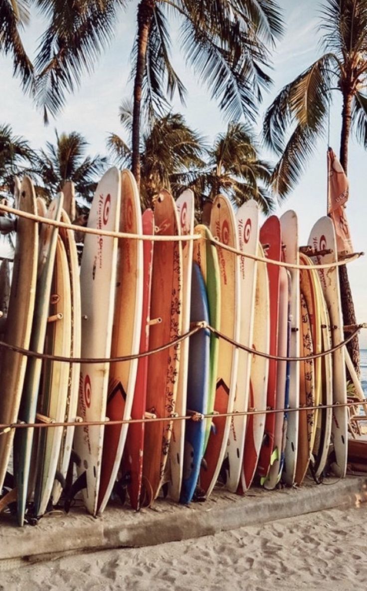 surfboard vintage aesthetic. Beach wall collage, Picture collage wall, Photo wall collage