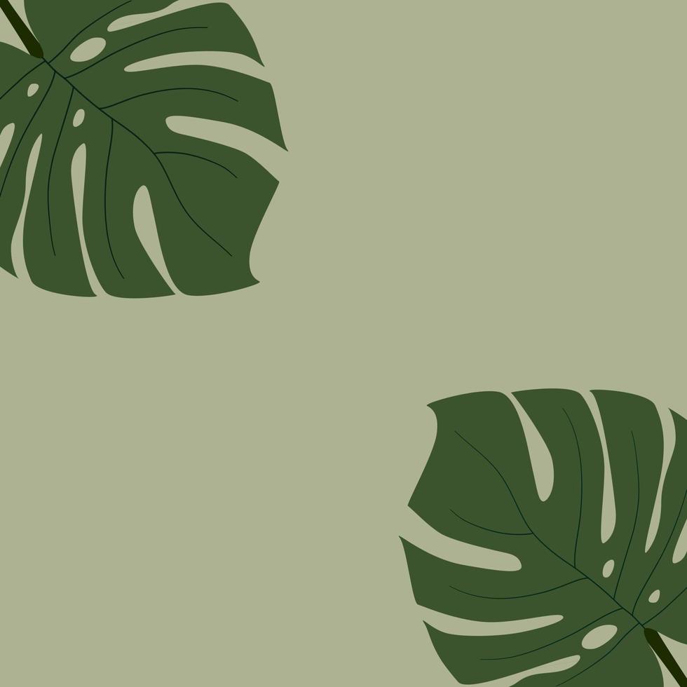 A green and white palm leaf pattern on a green background - Monstera