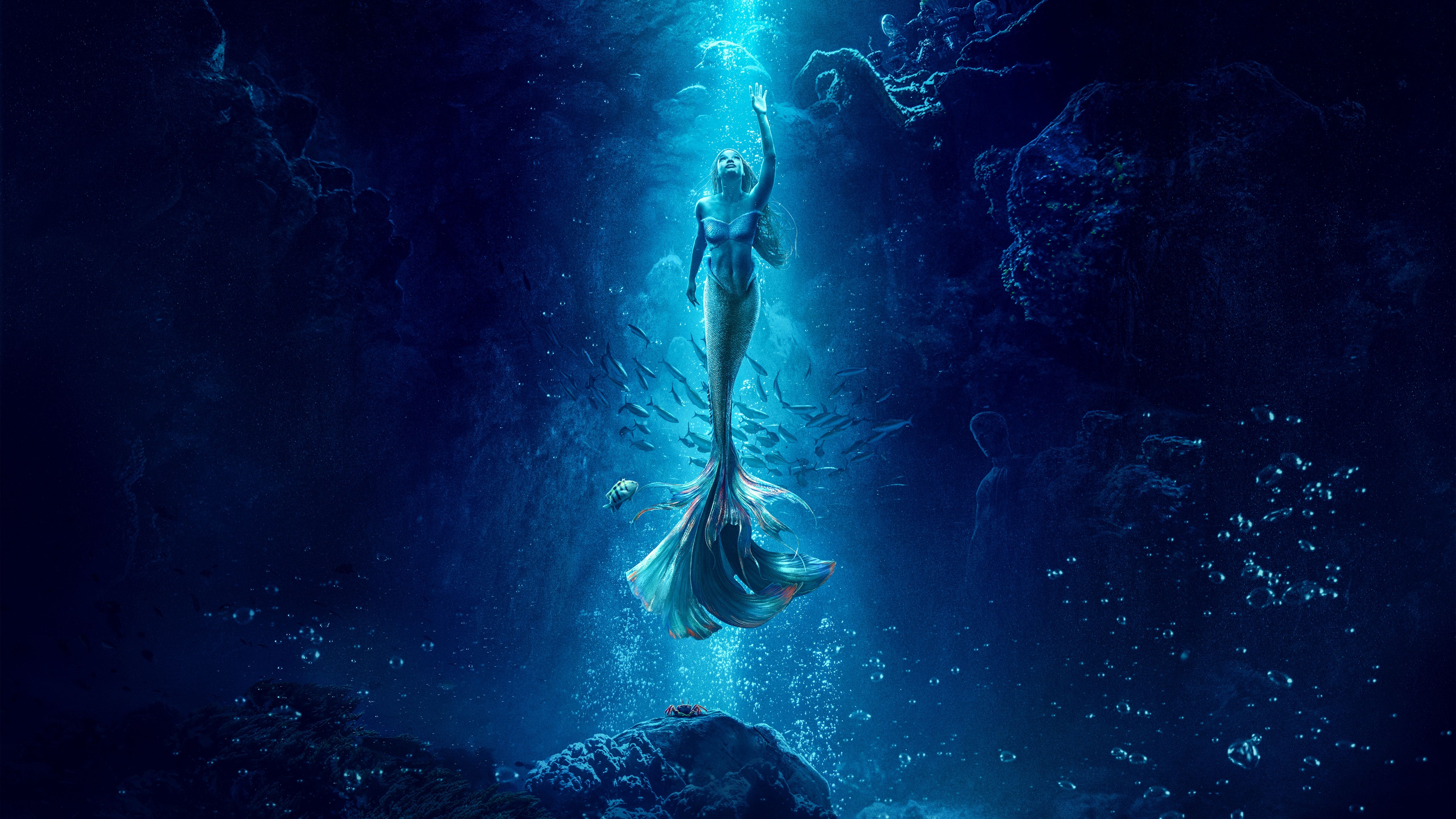 A mermaid swimming in the ocean with fish and coral. - Mermaid