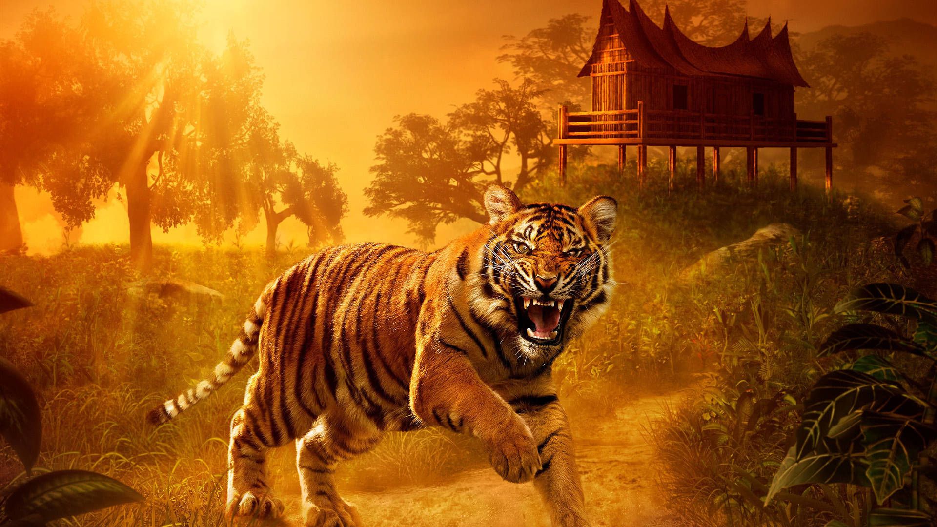 Download 1440p HD Tiger In Forest Orange Aesthetic Wallpaper
