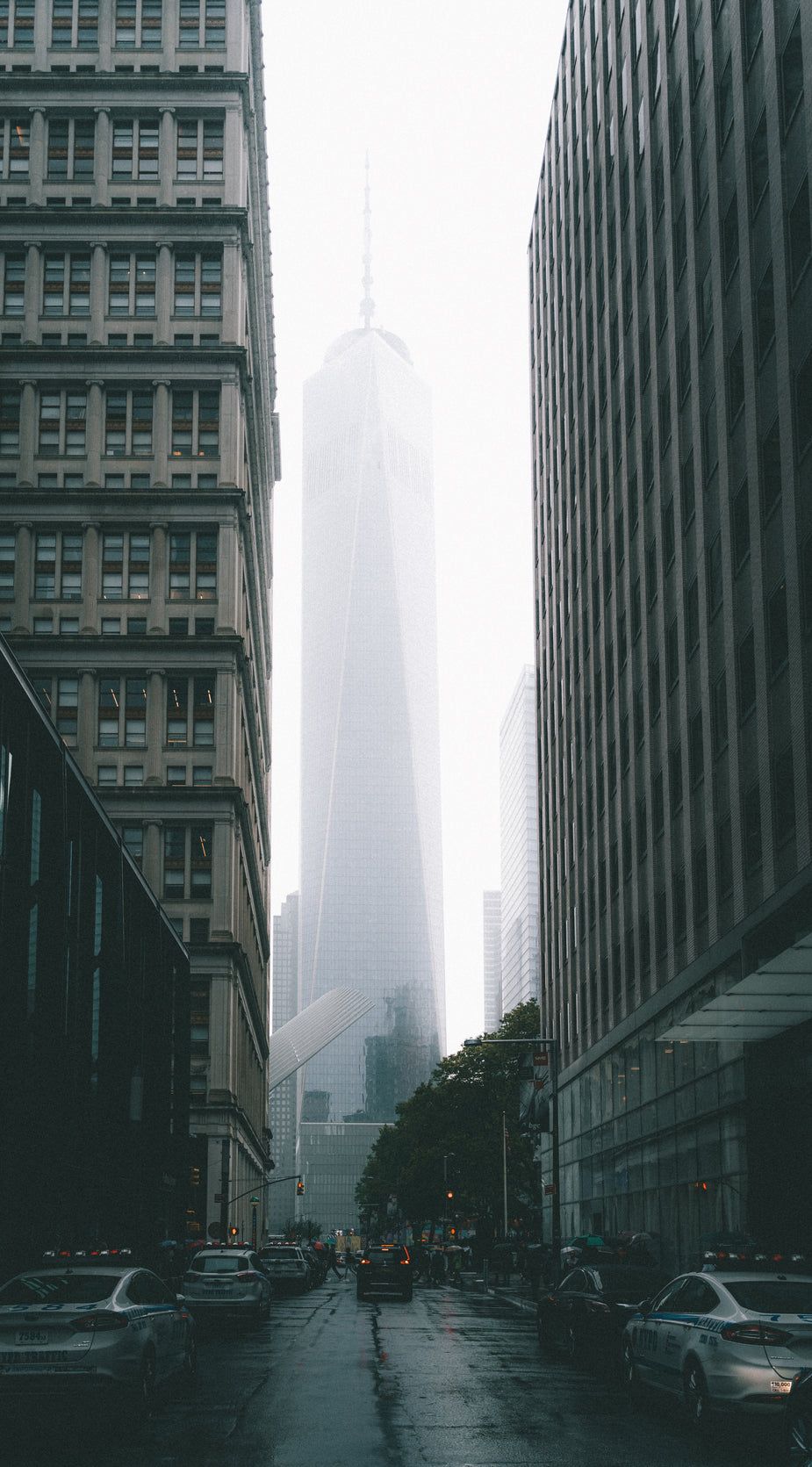 Browse Free HD Image of New York Fog