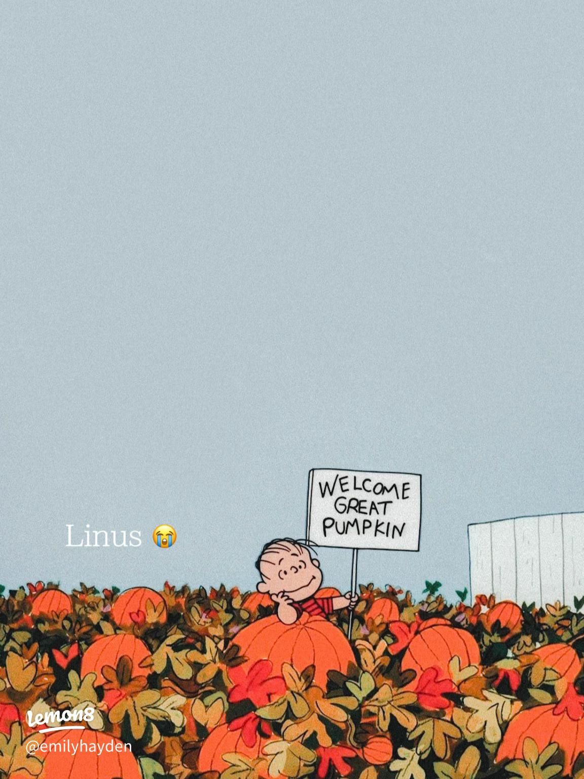 Linus from peanuts sitting on a pumpkin with a sign that says 