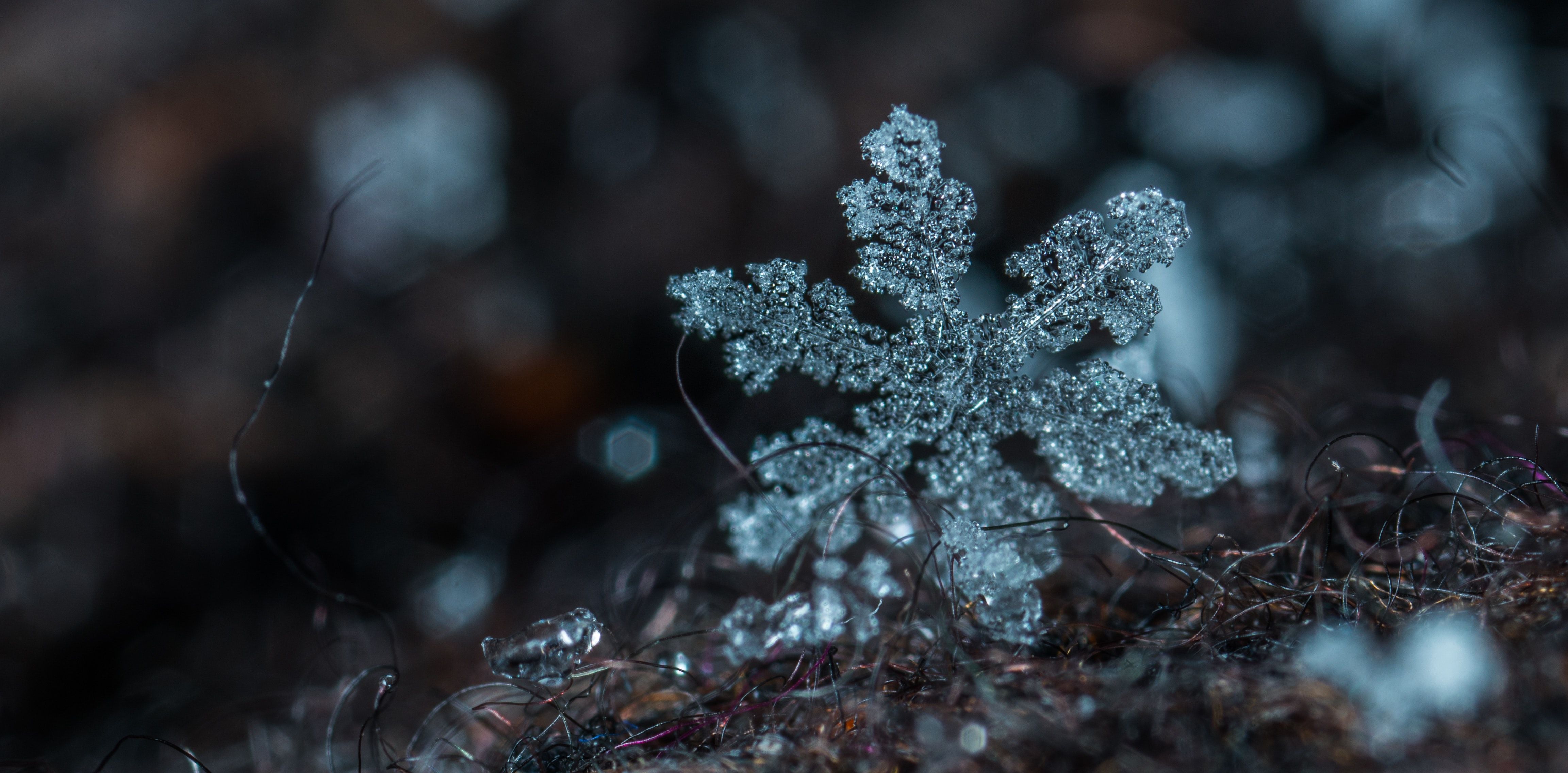 Close Up Photography Of Snowflake · Free