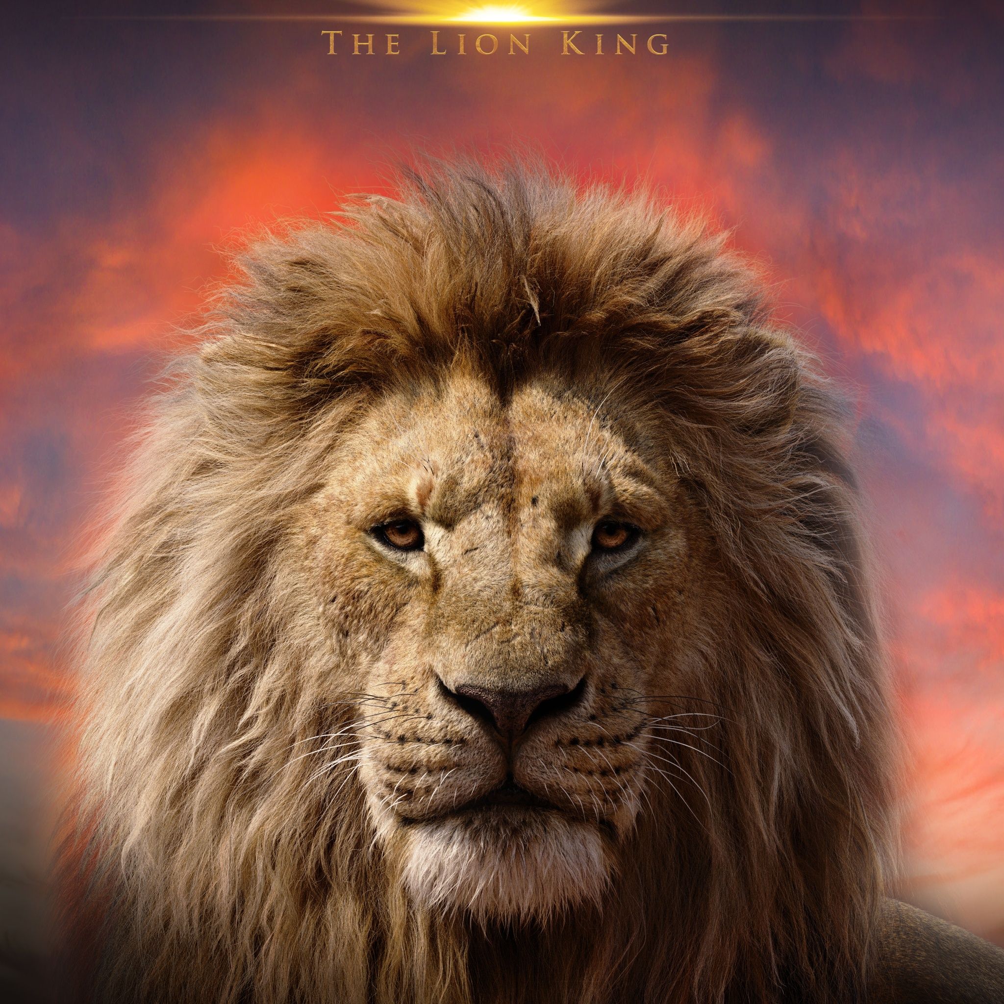 Mufasa: The Lion King 5K Wallpaper for iPhone