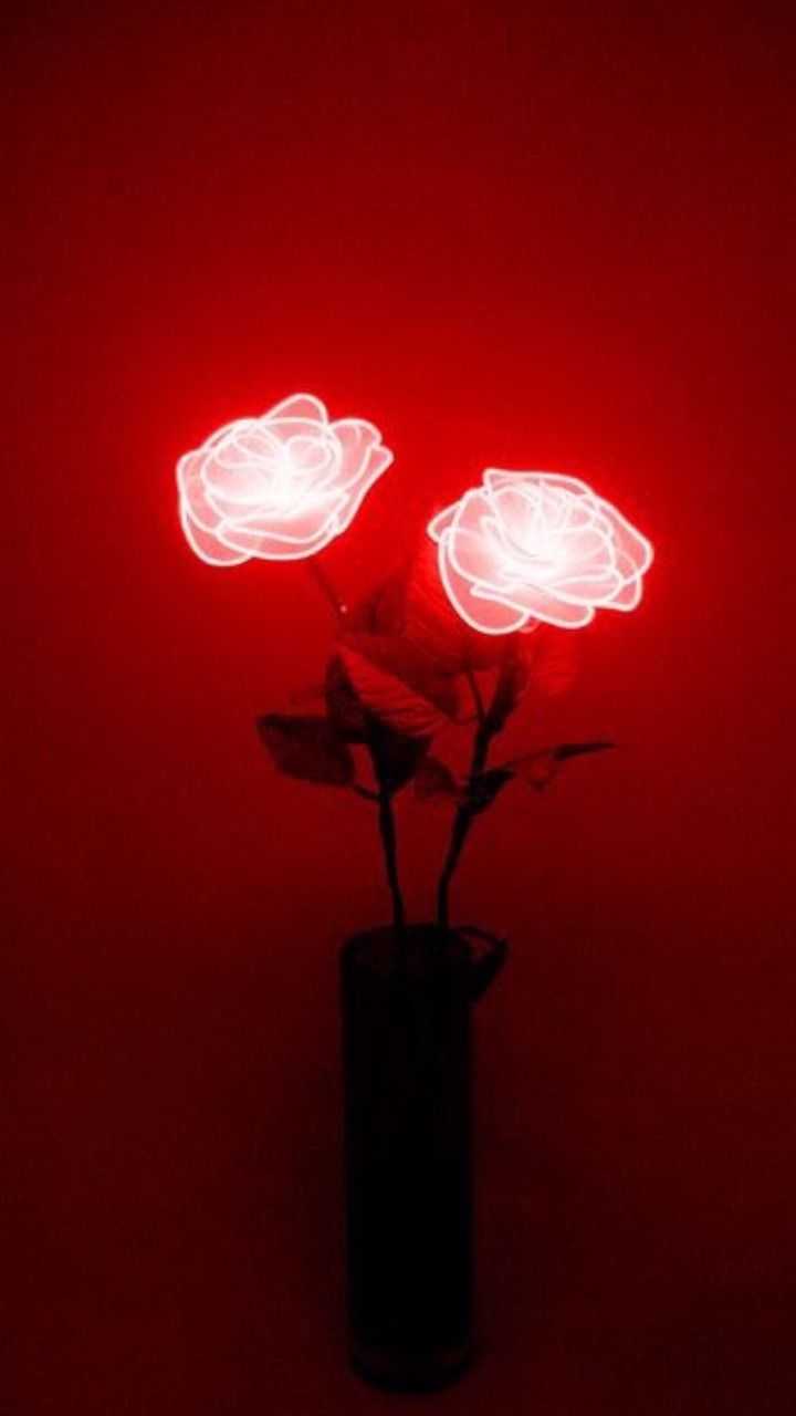 A vase with two roses on a red background - Crimson