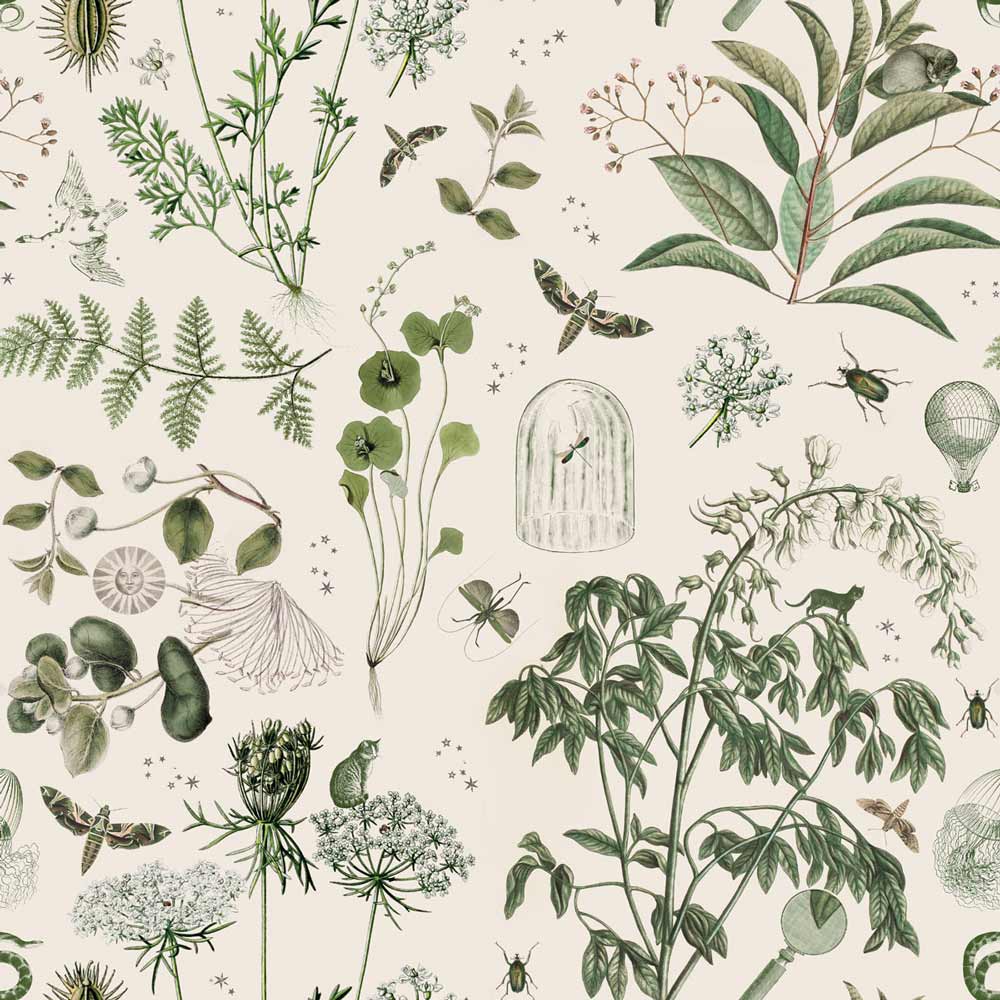 A wallpaper with various green plants, insects, and birds on a beige background. - Botanical
