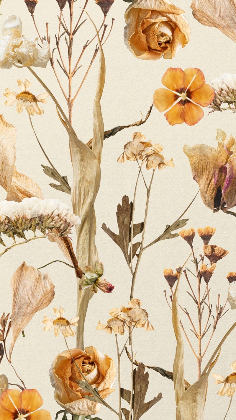 A wallpaper with pressed flowers in orange and beige. - Botanical, vintage fall