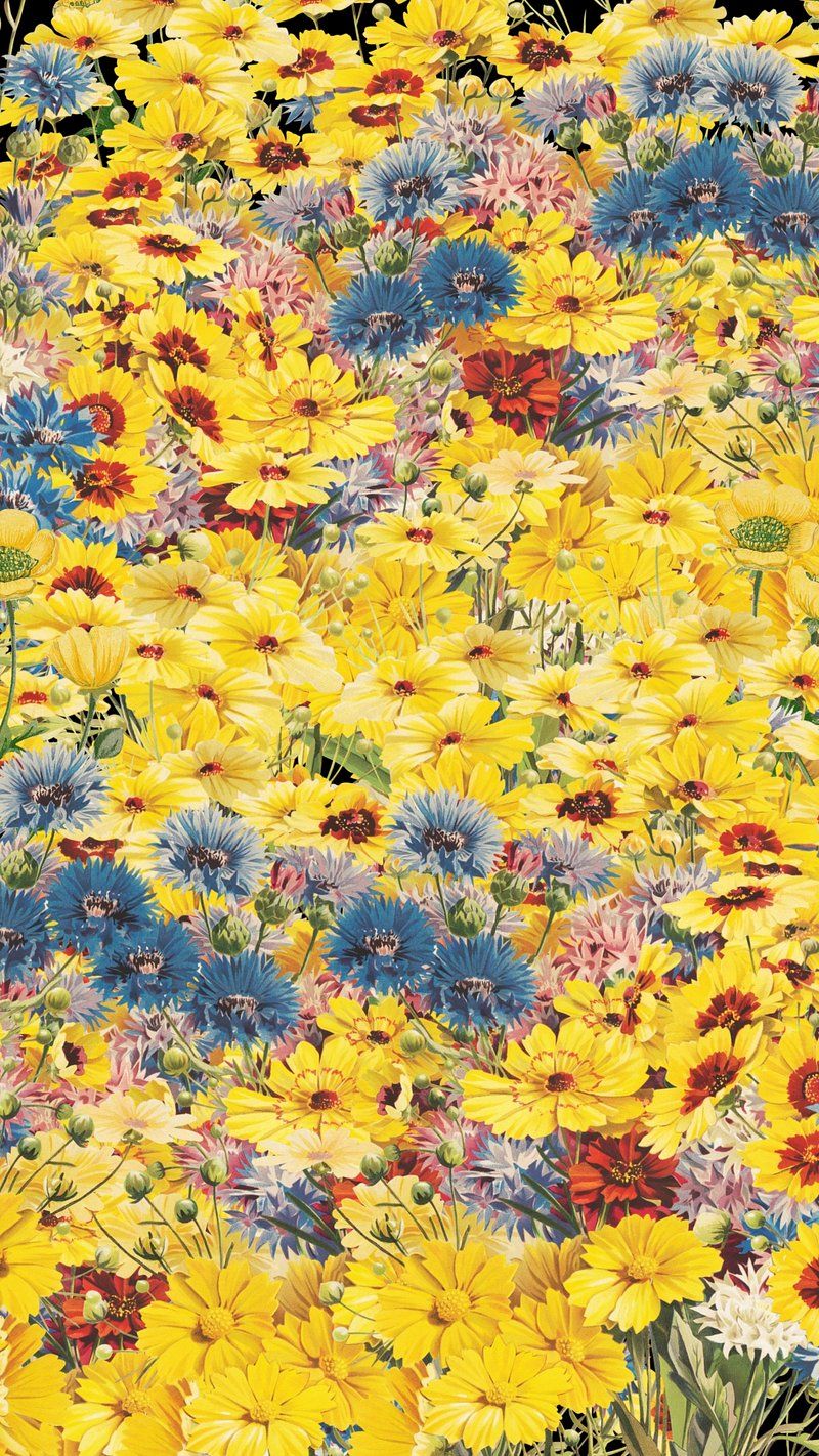 A field of yellow, blue, and red flowers - Botanical