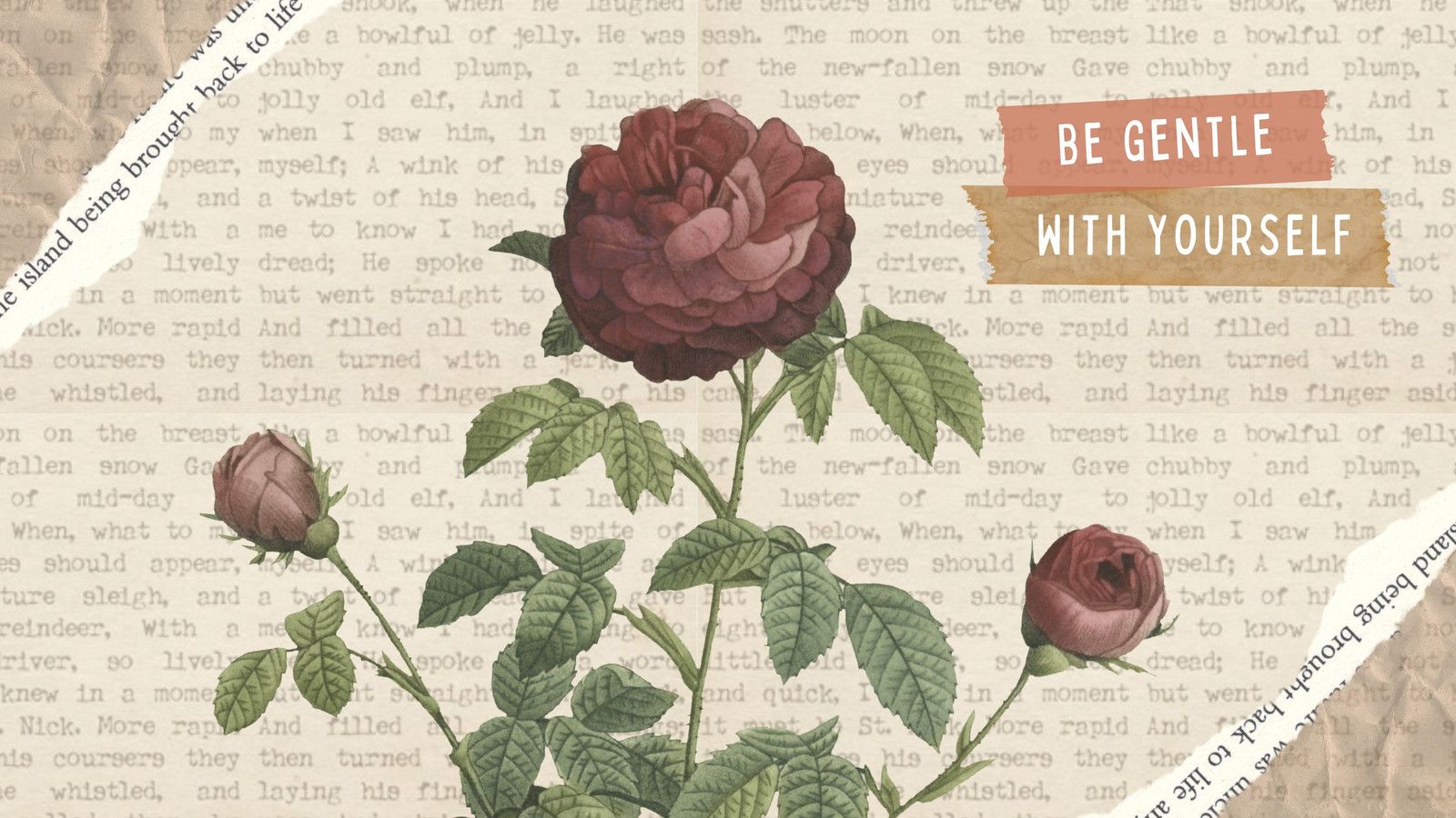An illustration of a rose on a background of text. - Botanical